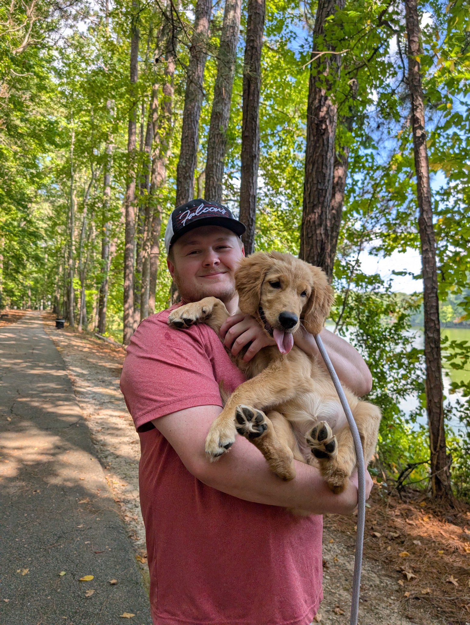 Lost Golden Retriever - Lakeside Circle