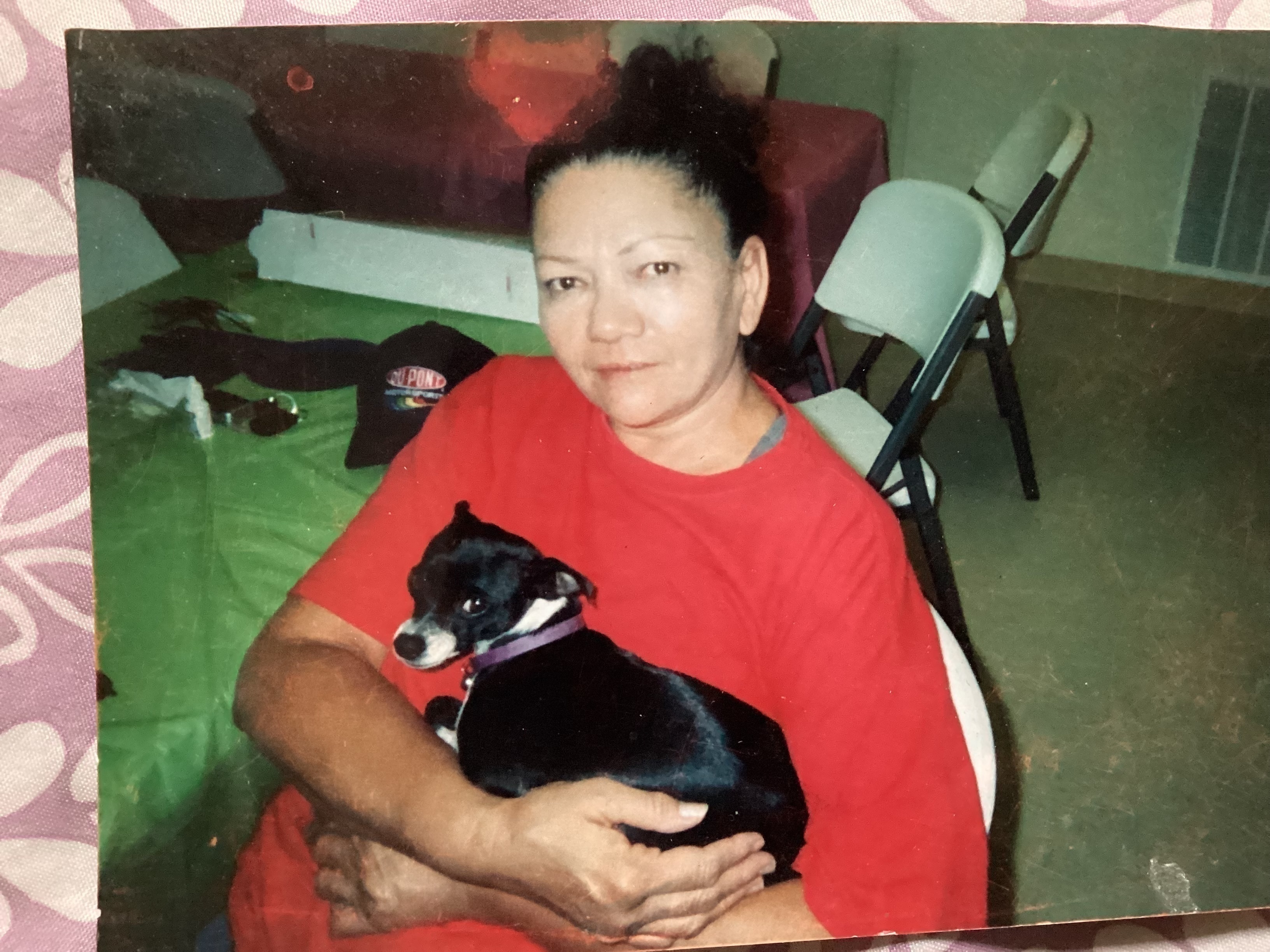 Lost pets Dallas, photo: Lost Small Dog: B&W, Peoria St, Dallas