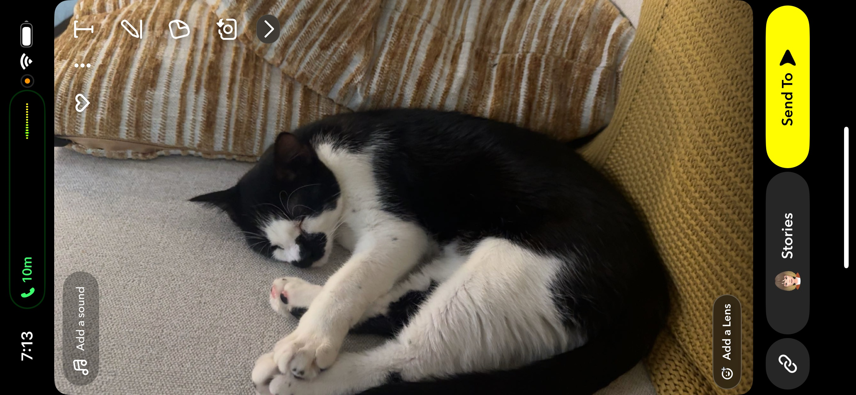 Lost Tuxedo Cat: Mustache Markings
