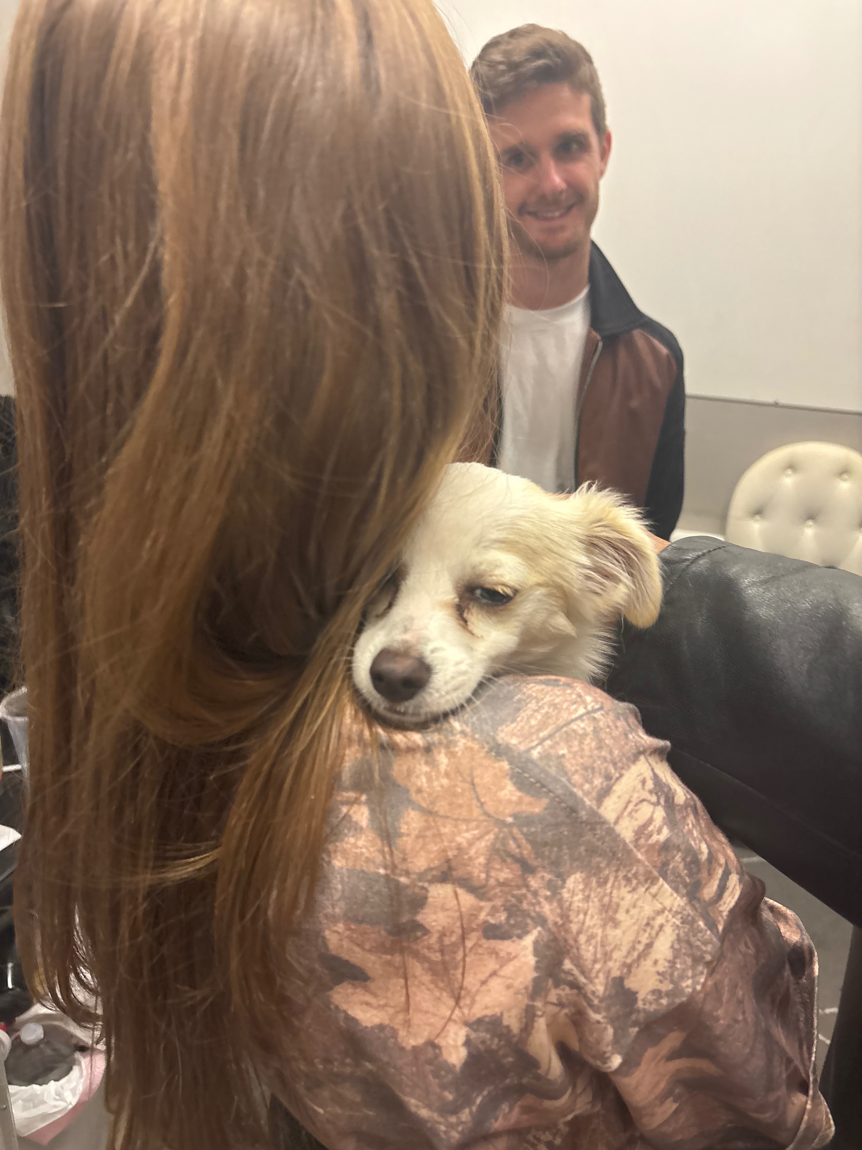 Found dog Grapevine, photo: Found: Small White Dog in Grapevine