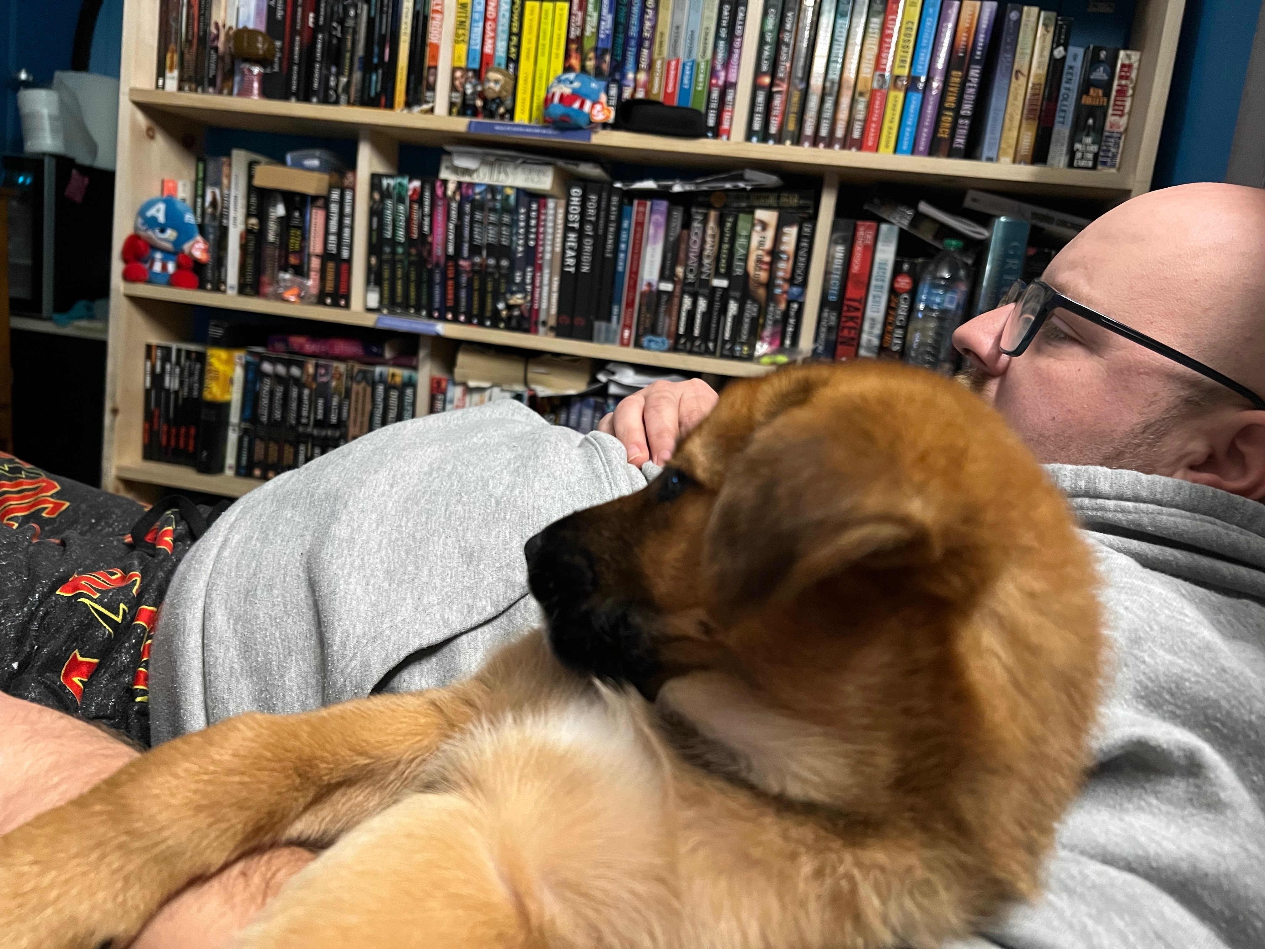 Lost Puppy: Brown Coat, Dewey...