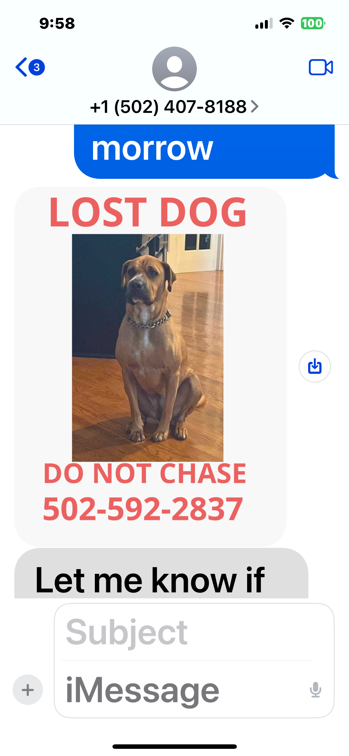 Lost dog, Clarksville