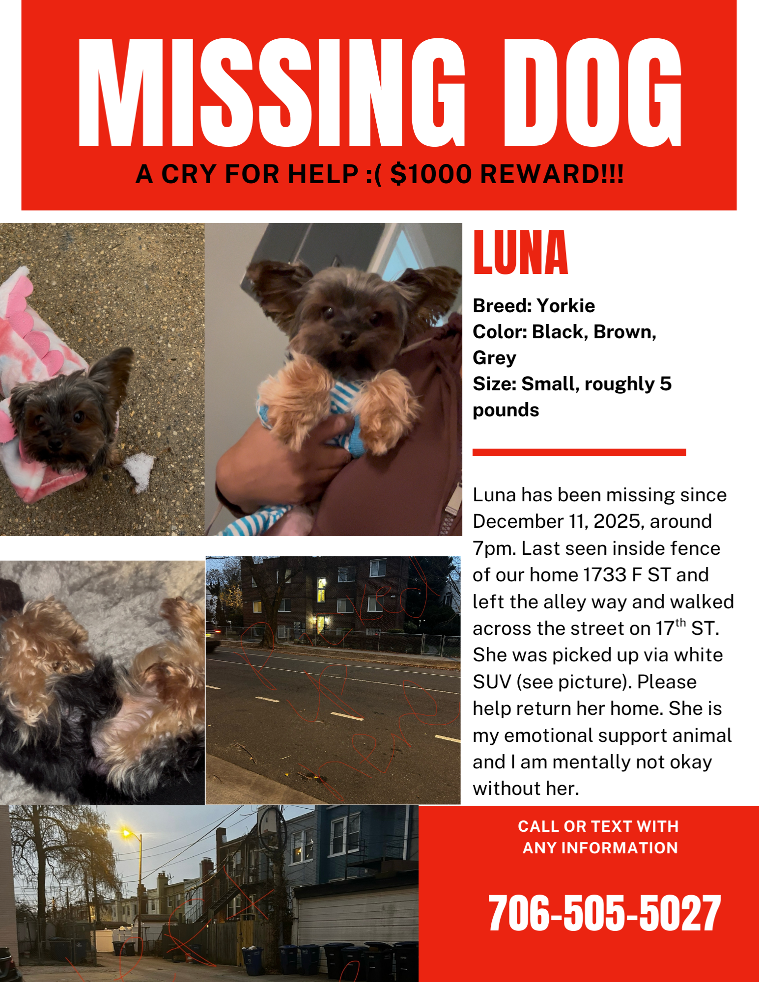 Lost Dog Luna: Help Bring Her Home!