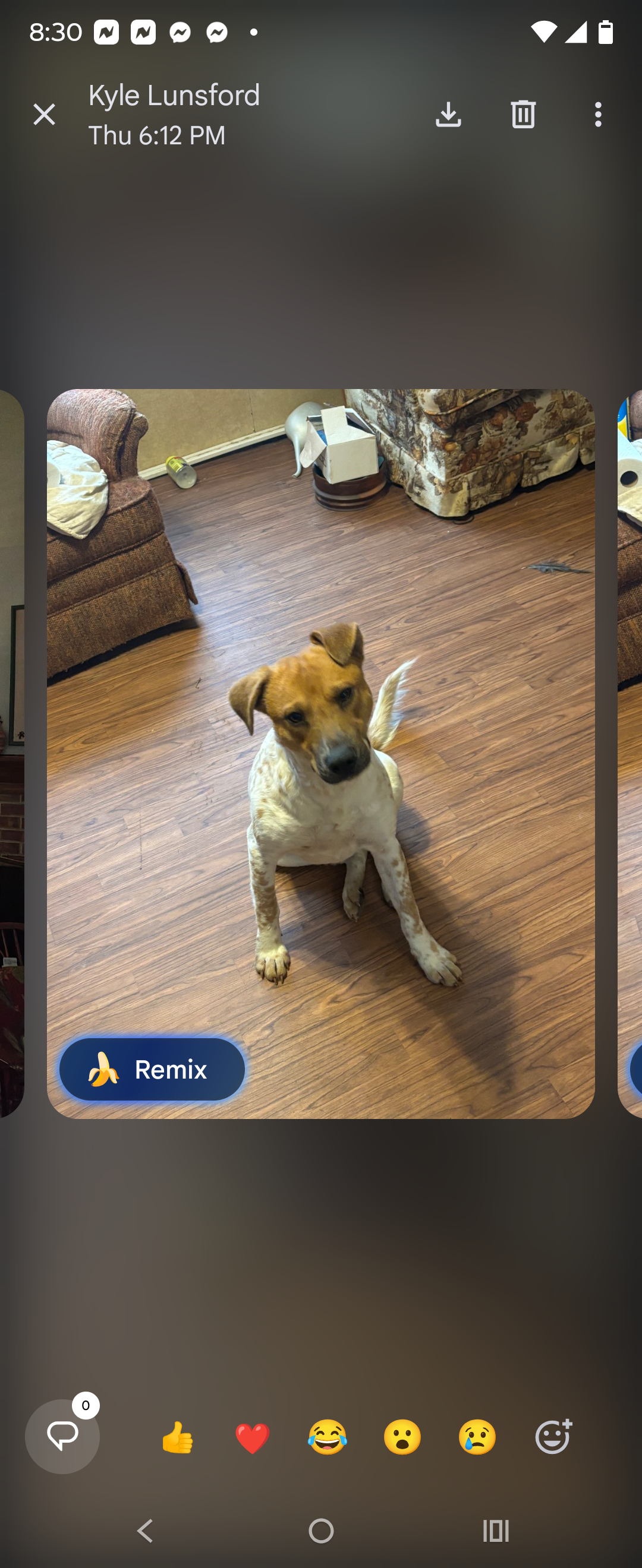 Lost Dog: White Mutt in Rolla,...