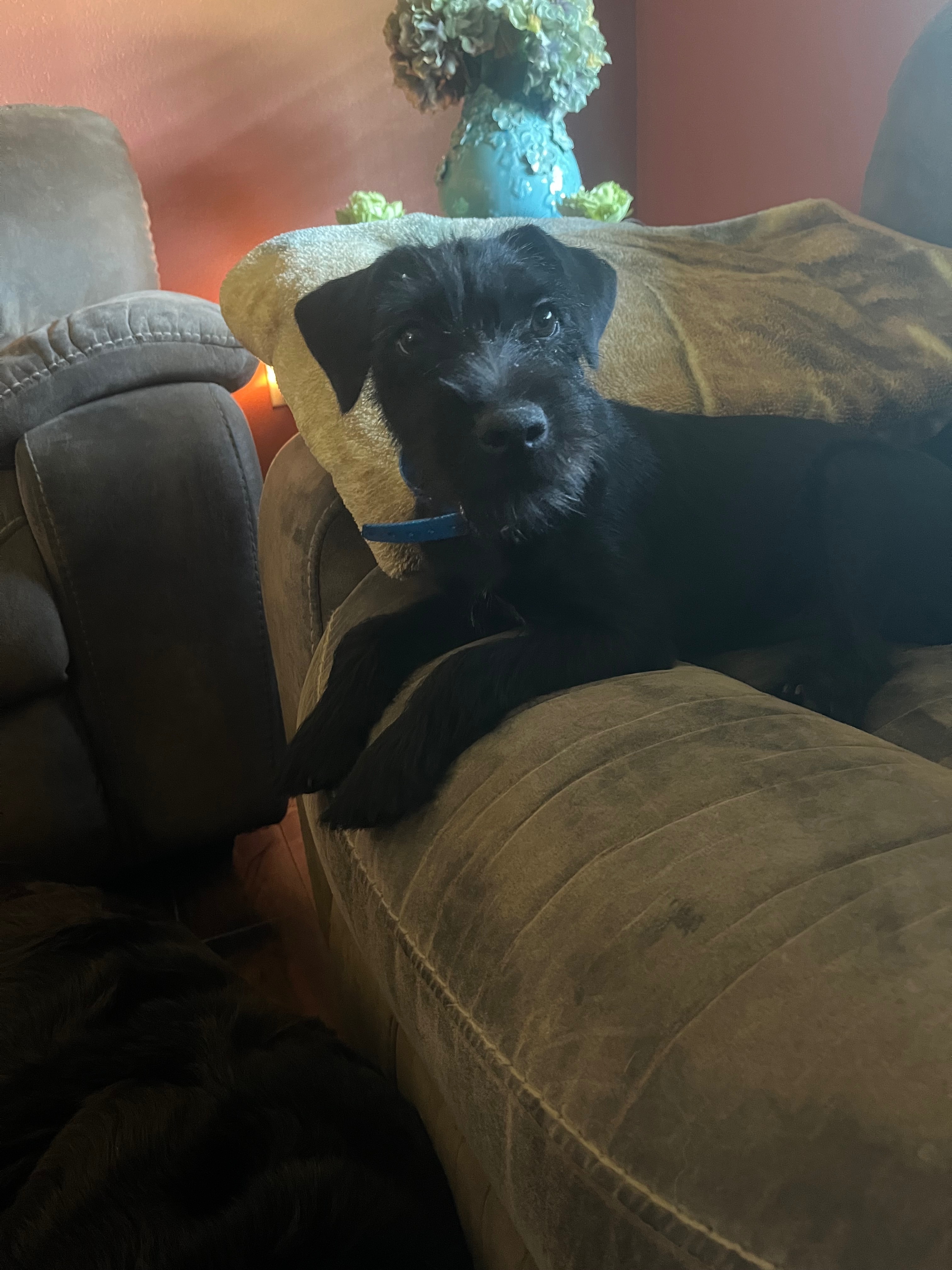 Lost Black Patterdale on Hwy 41