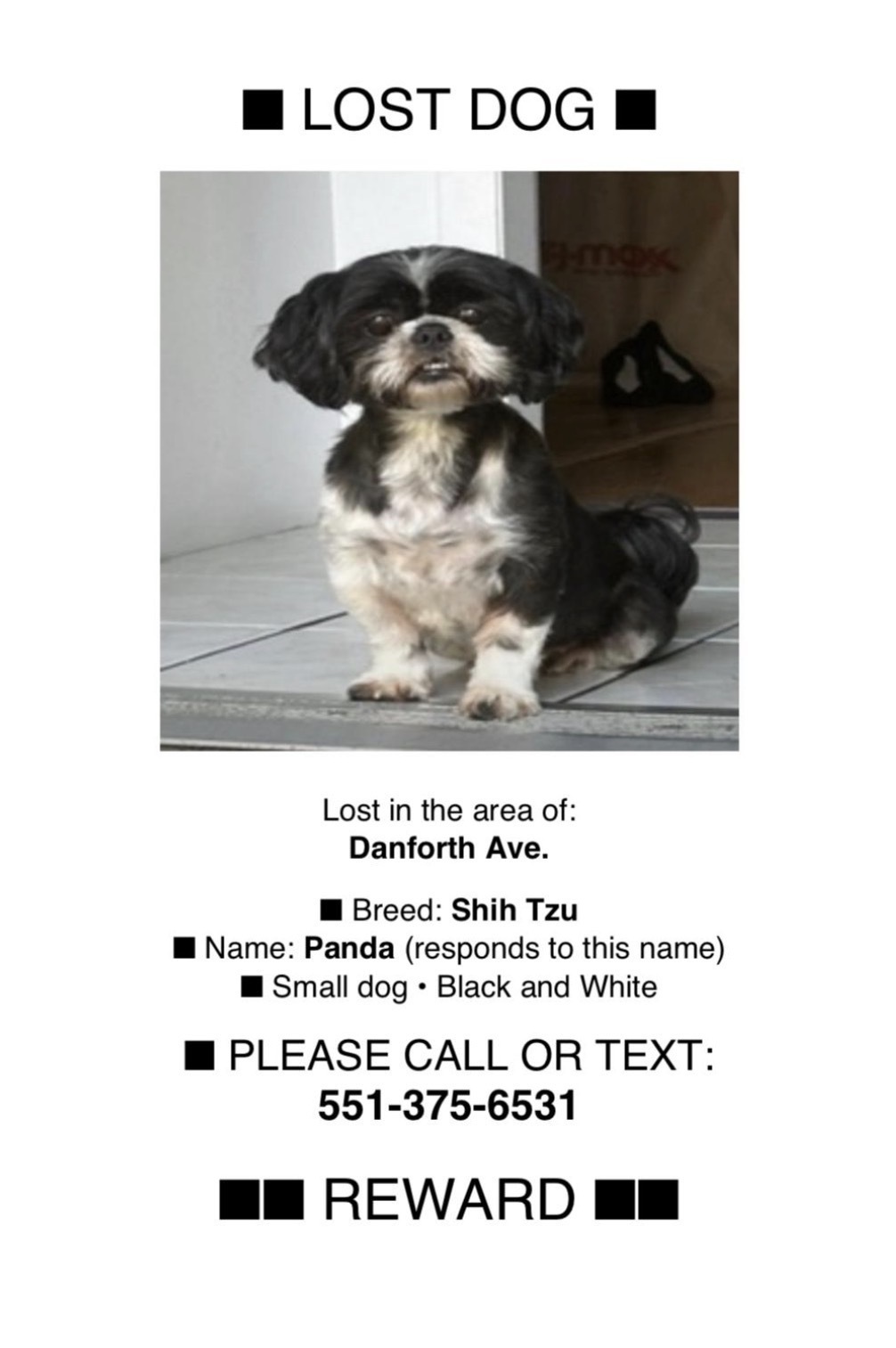 Lost Shih-Tzu: Panda on Danforth Ave