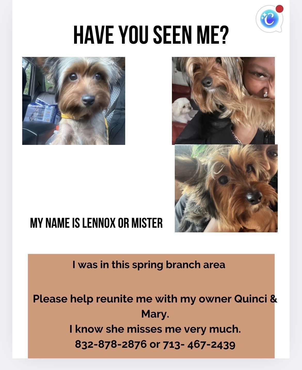 Lost Dog: Mister/Lennox in Houston, TX