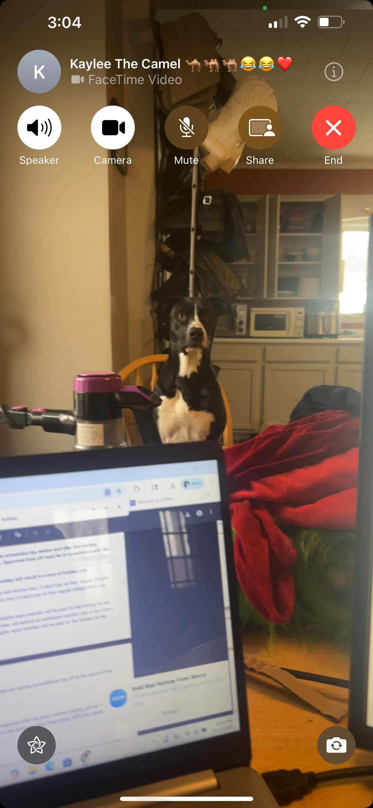 Lost Dog: Unique Paws, Vermont 101