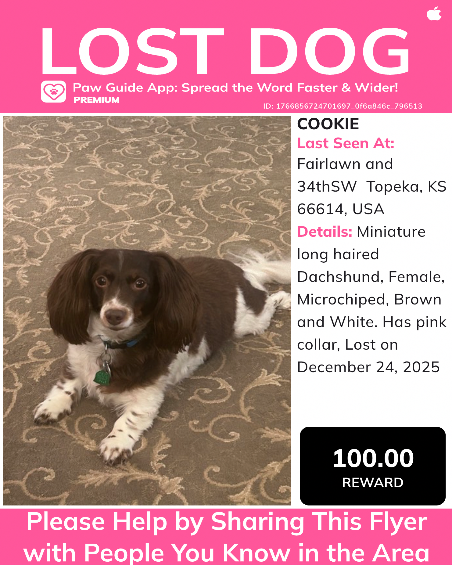 Lost Dachshund: Brown & White, Topeka