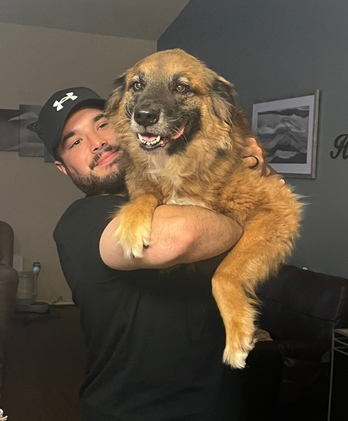 Lost Senior Dog on Gabbro Drive, Pflugerville