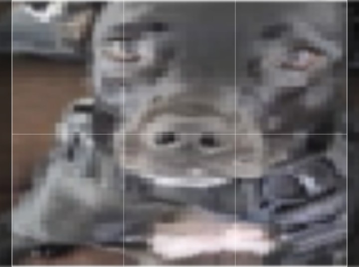 Help Find Tiny: Lost Black Pitbull in LA