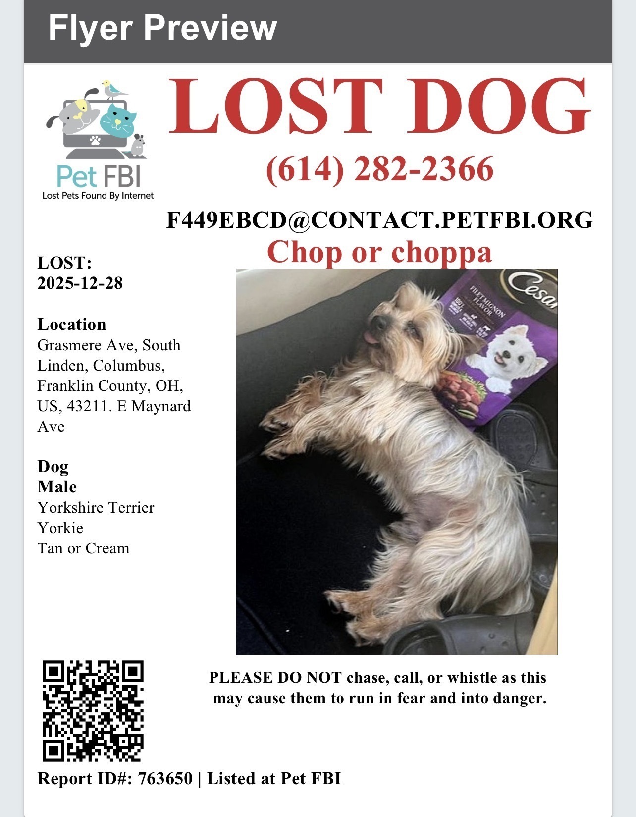 Lost Dog on Velma Ave, Columbus!