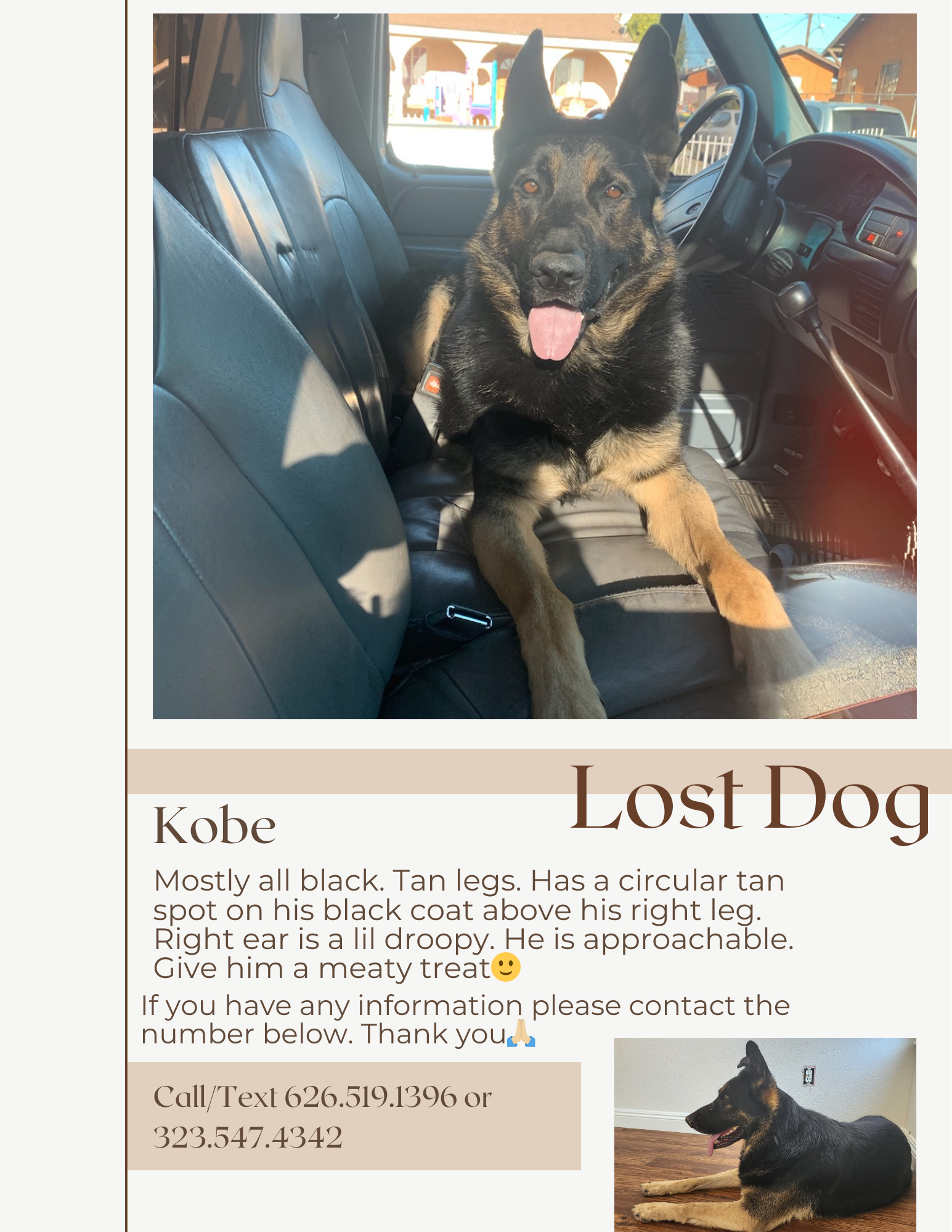 Lost Dog in Riverside - Small Reward