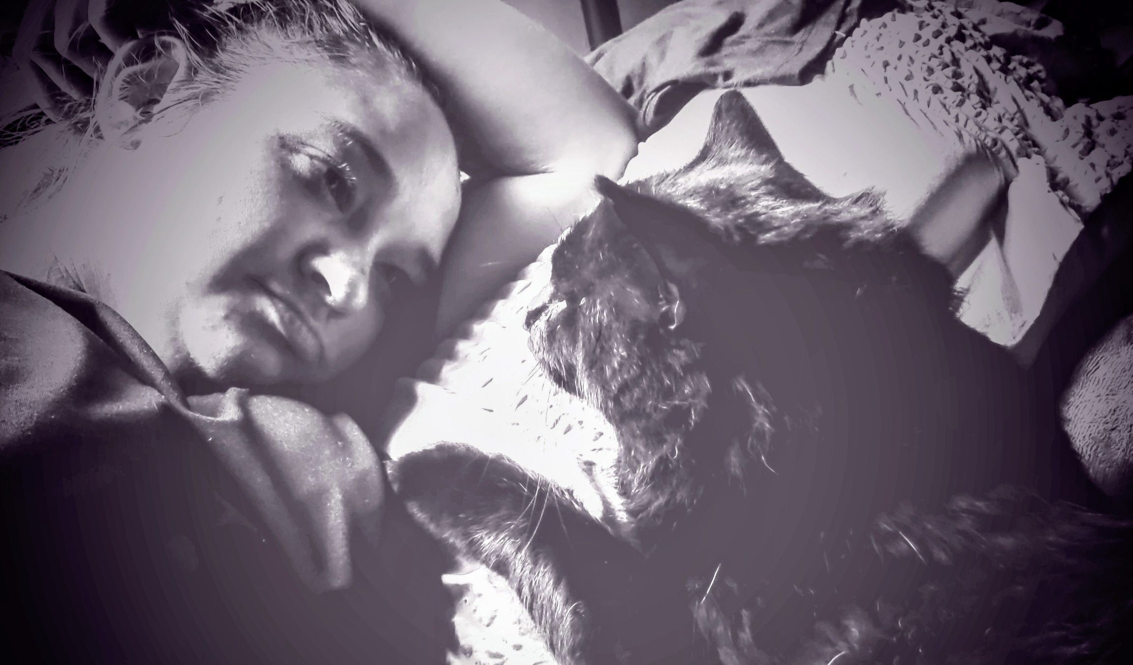 Lost Black Cat: Vital Emotional Support