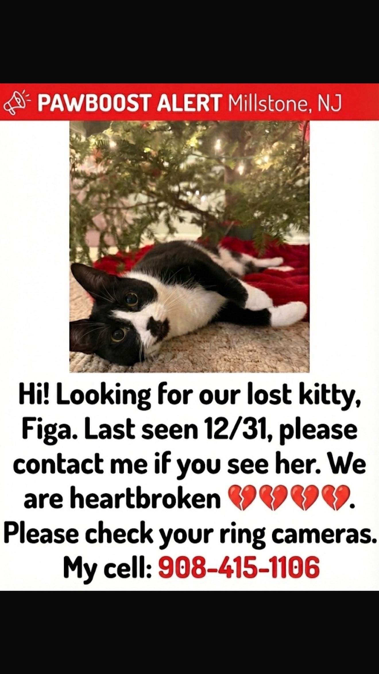 Lost Tuxedo Cat: Dressage Court, Millstone