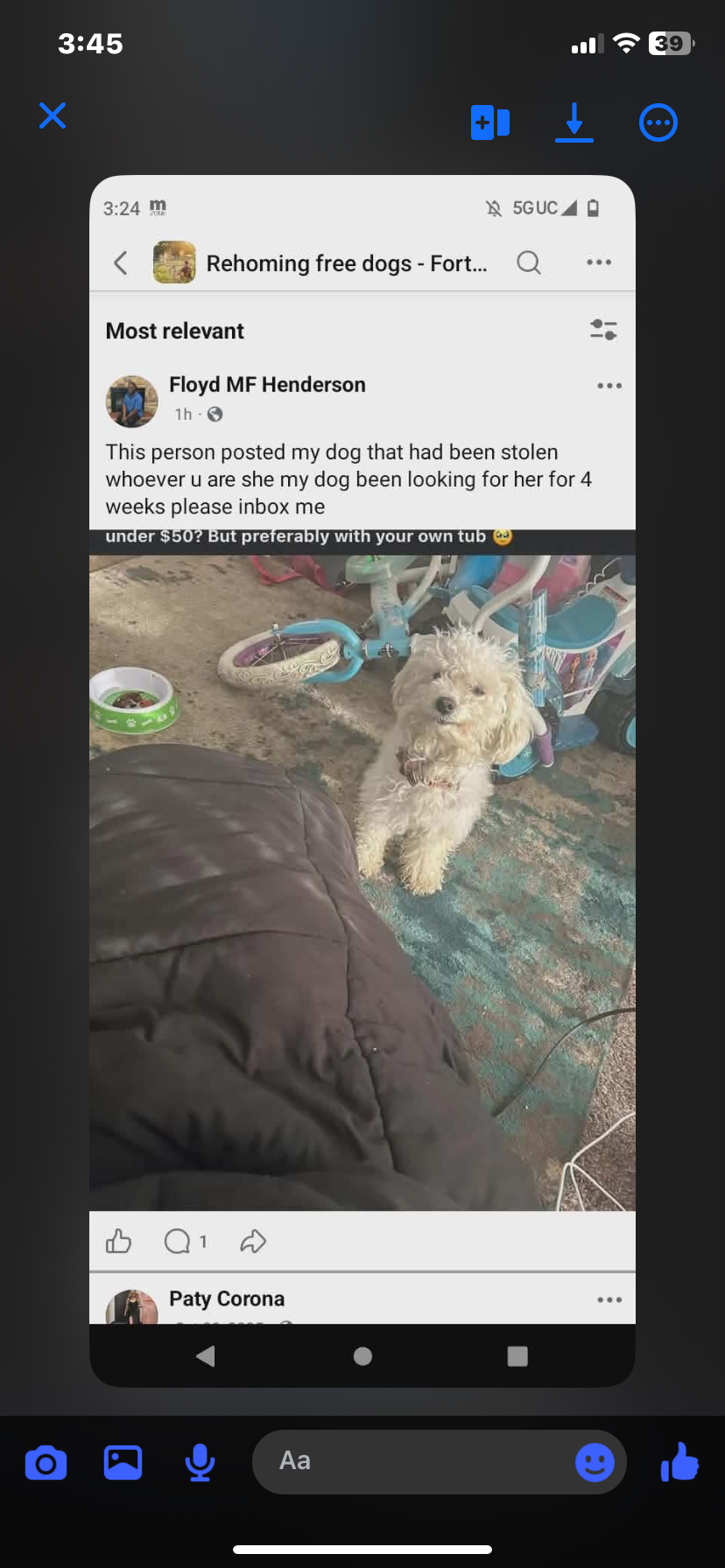 Lost Dog: White, Pink Collar in Fort Worth