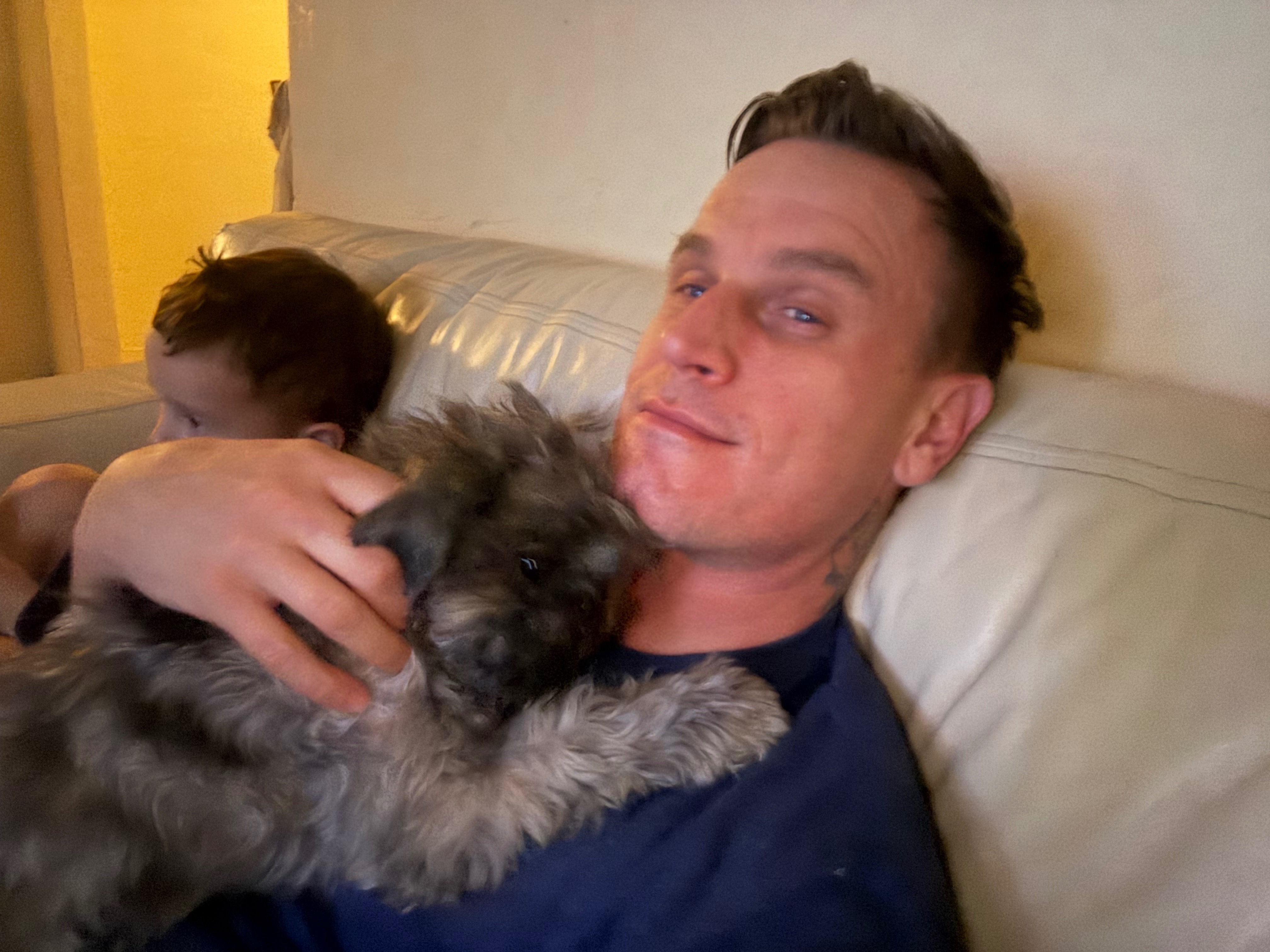 Lost Skittish Grey Dog: Reward Offered