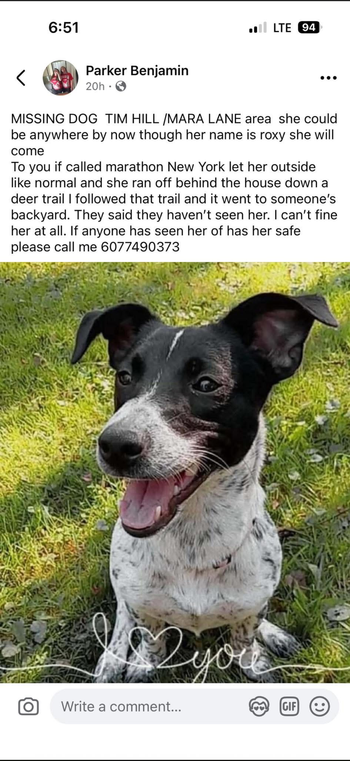 Lost Dog Alert: Marathon, NY