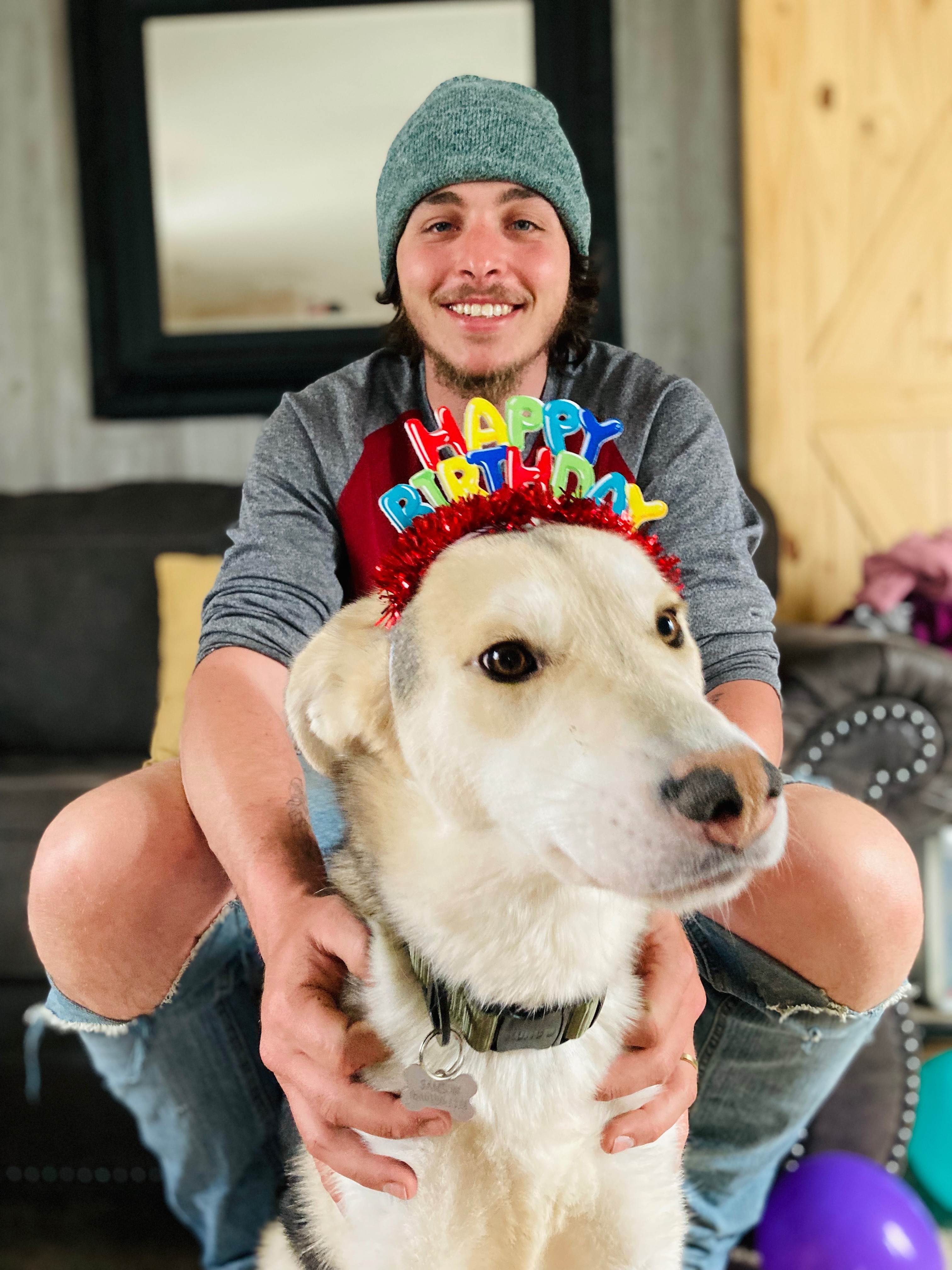 Lost Dog Samson: Spotted Near Wolf Lake, MI