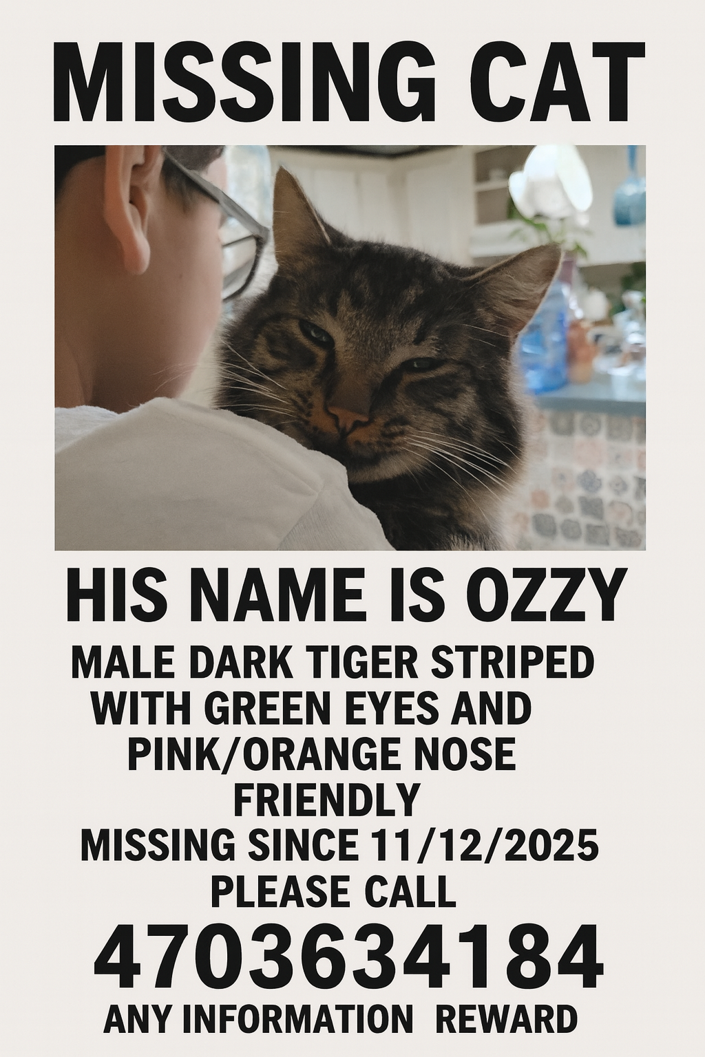 Lost: Friendly Dark Tabby Cat, Reward!
