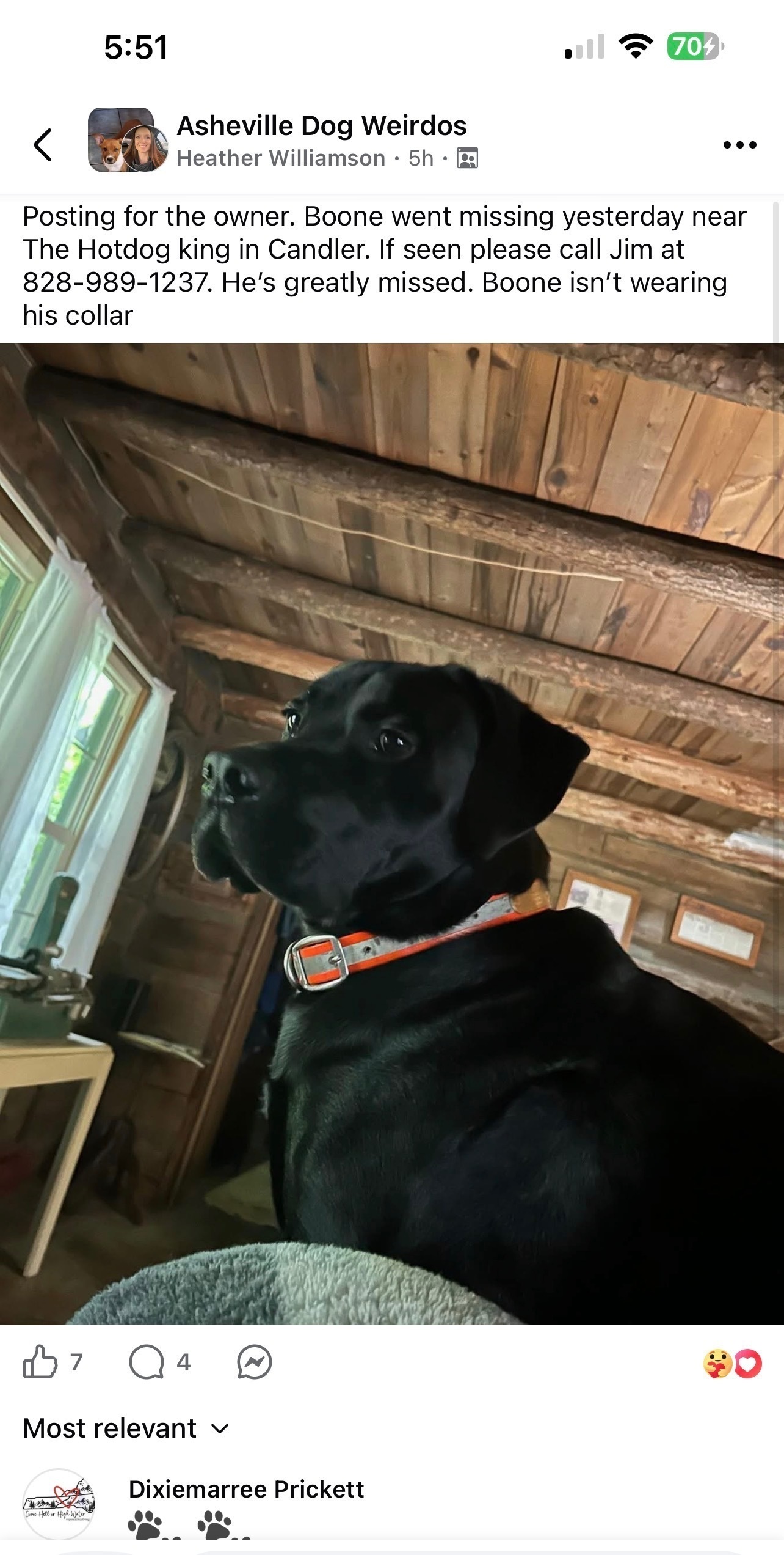 Lost Dog Alert: Candler's Smokey Hwy