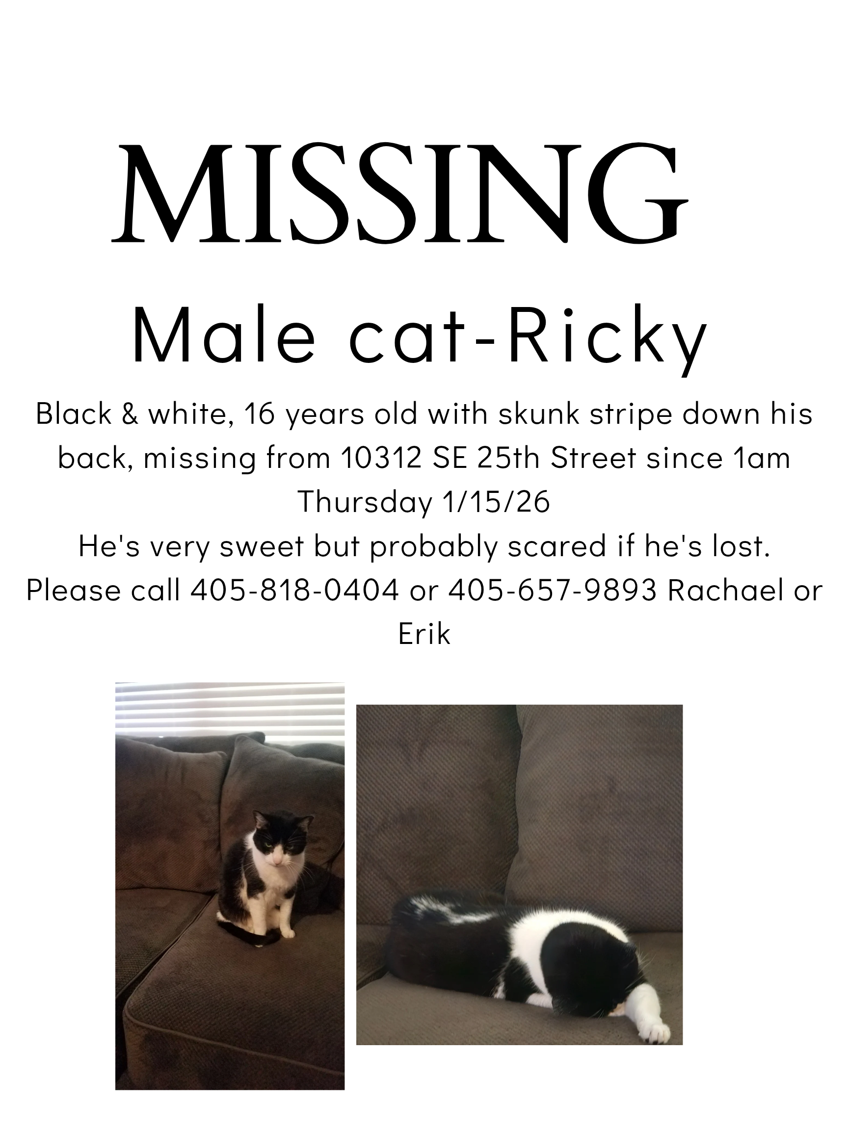 Lost Cat: Sweet 16-Year-Old Ricky Missing