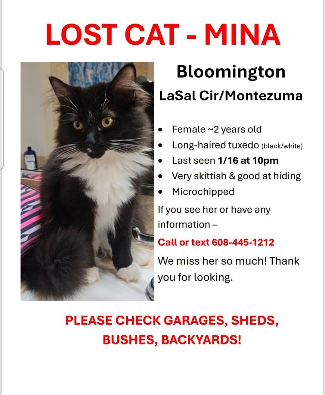 Lost Tuxedo Cat Mina: Help Find Her!