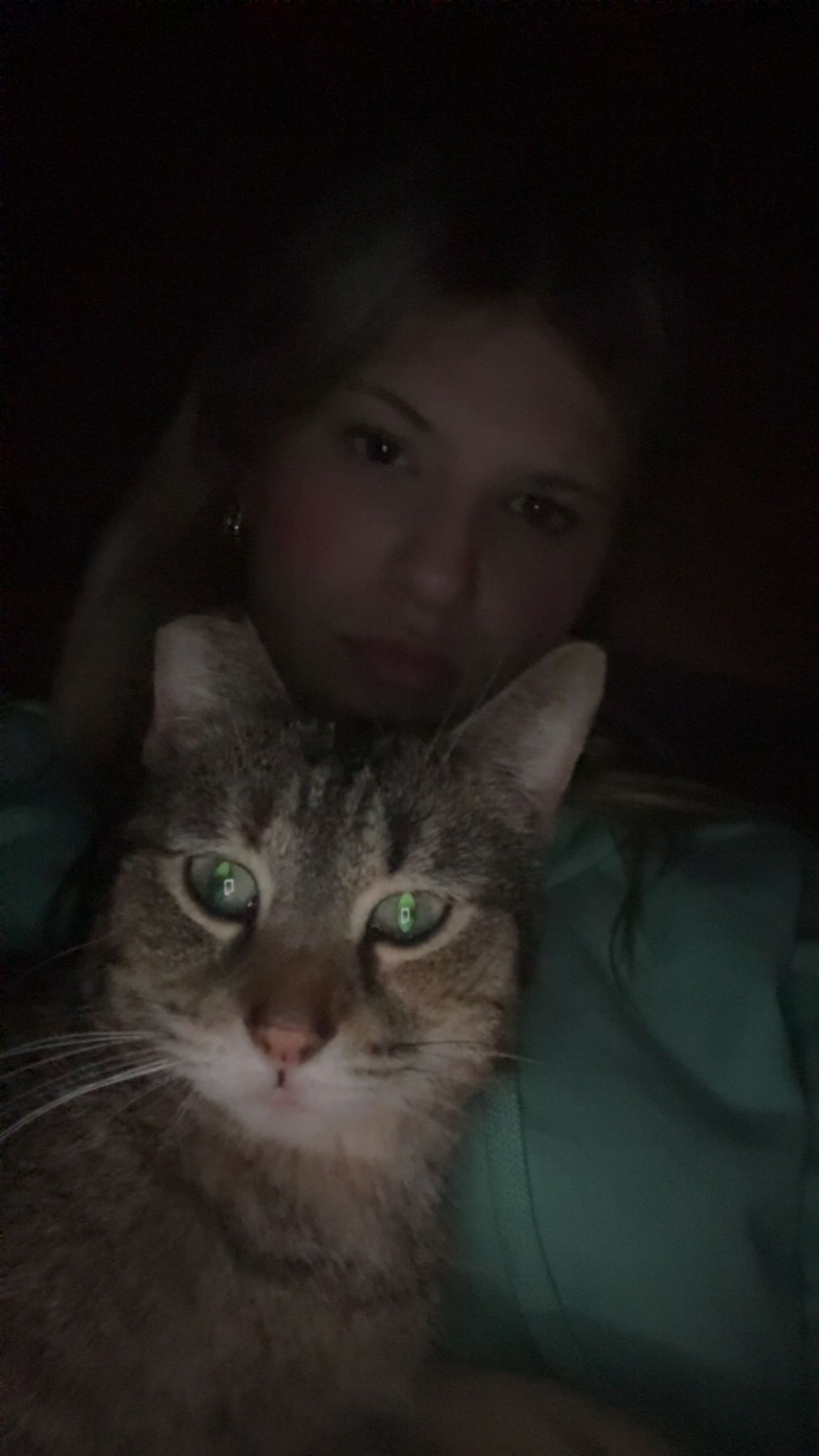 Help Find Jazzy: Lost Cat in Checotah