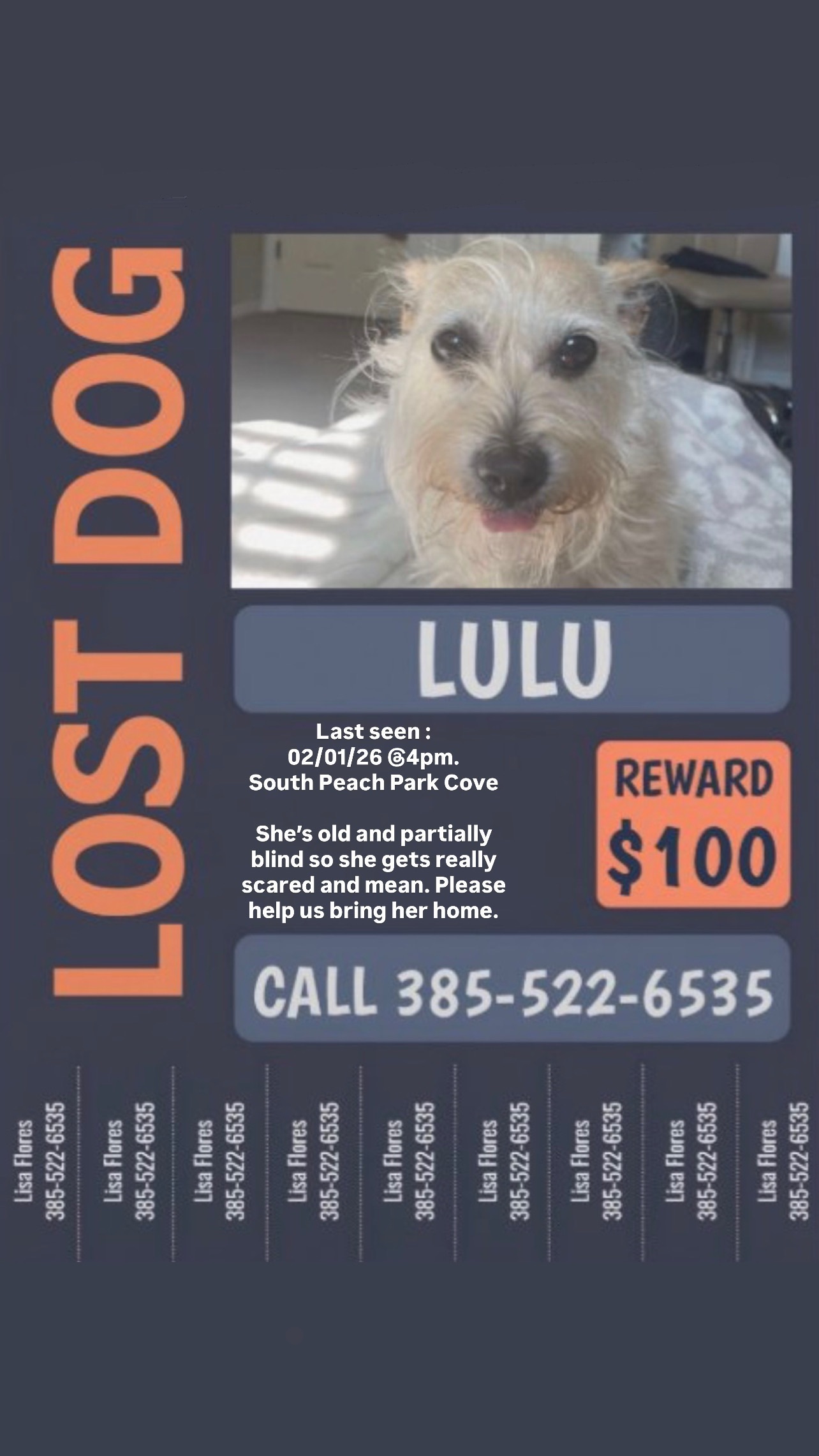 Lost Elderly Dog: South Jordan Area