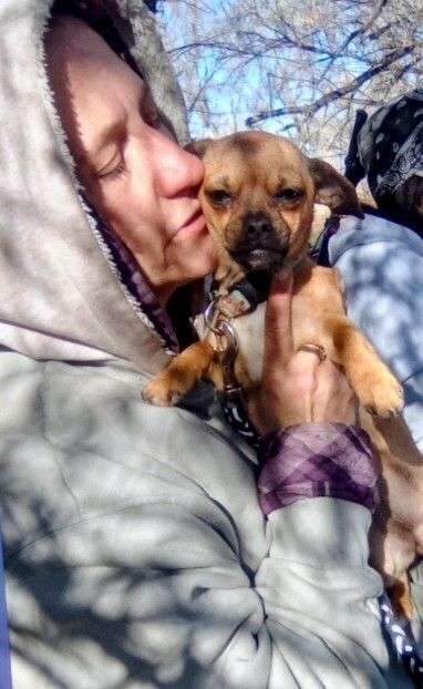 Heartbroken: Help Find My Lost Dog!