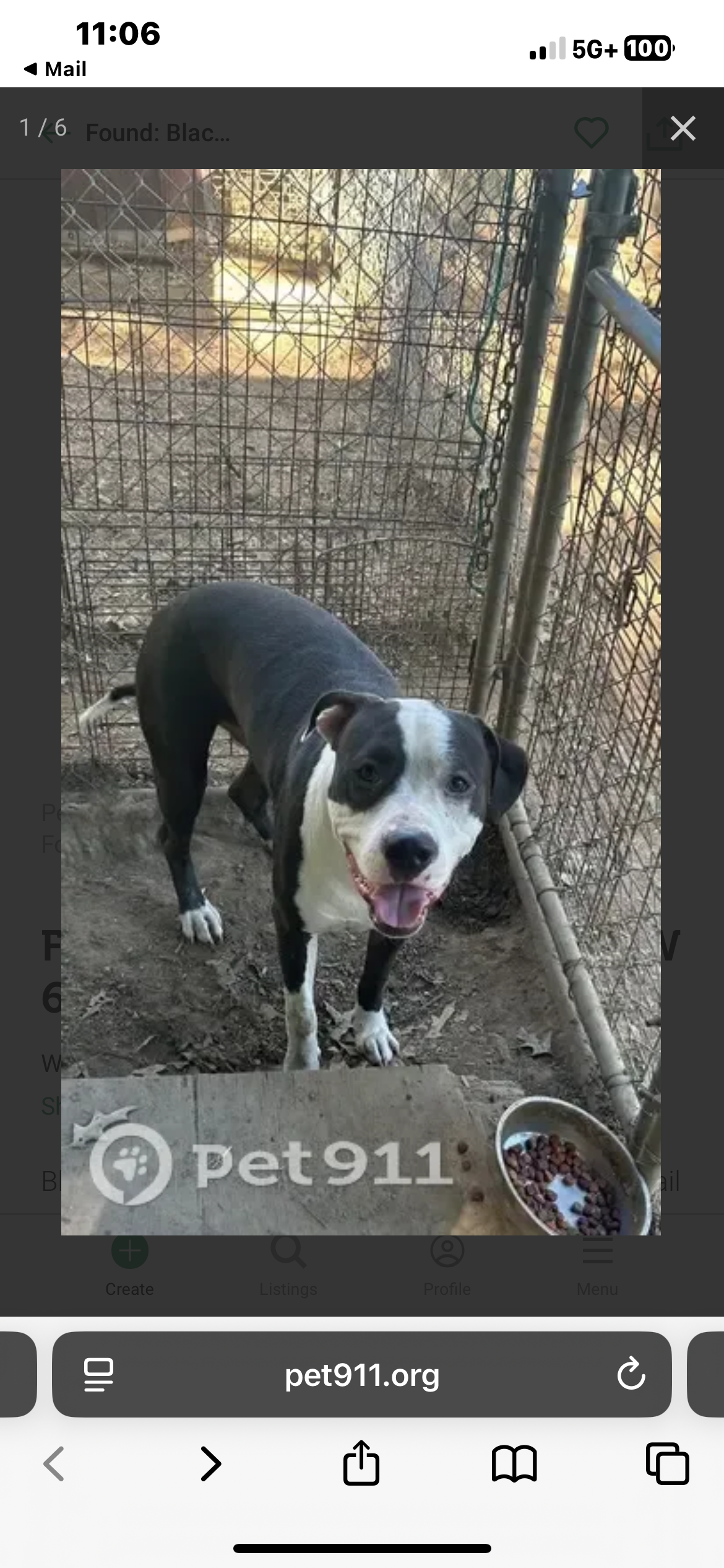 Found dog Little Rock, photo: Found: Young Black Dog in Little Rock