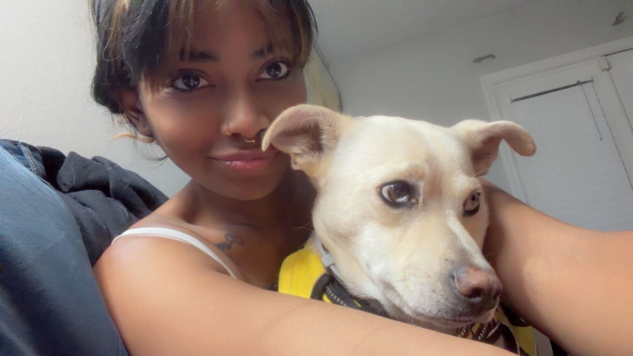 Lost: Small White Dog in Pink Hoodie