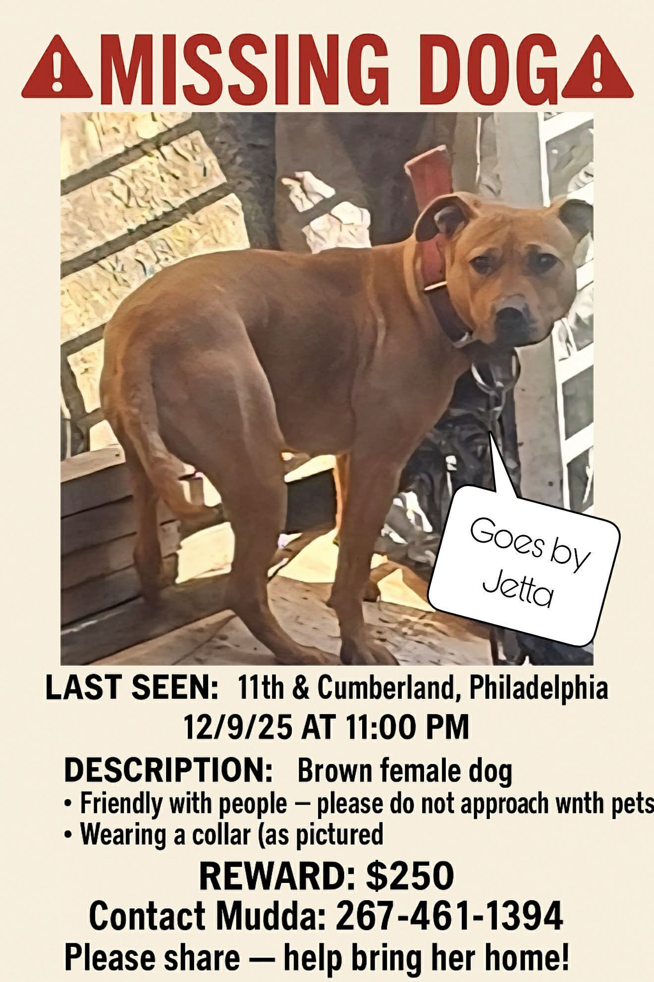 Lost Tan Dog on N 13th St, Philly