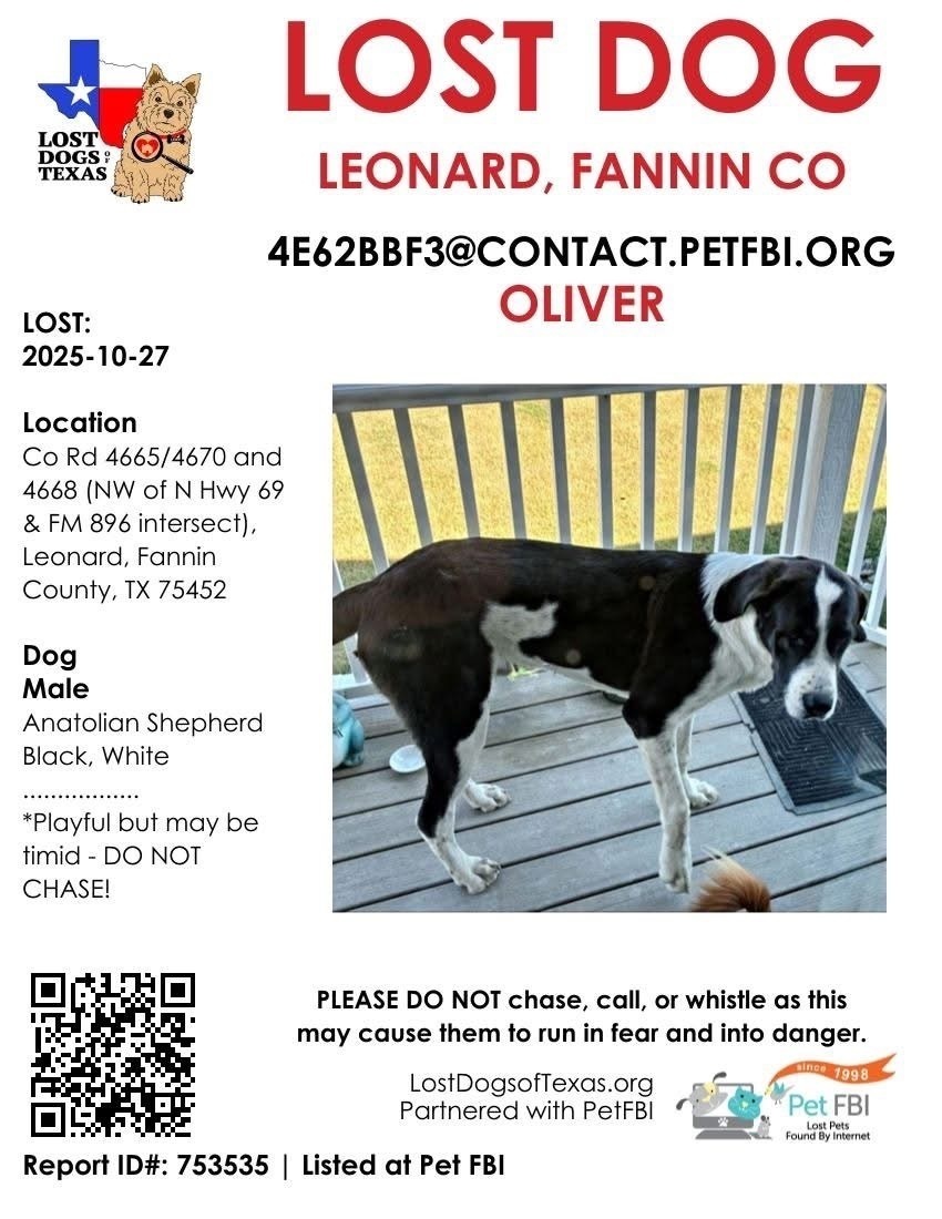 Lost: 108 lb Puppy Oliver in Leonard, TX