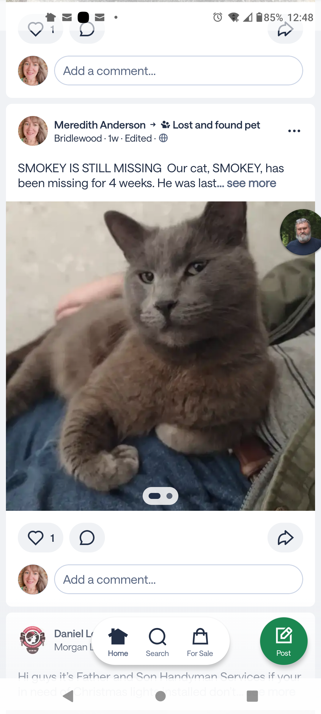 Lost Cat: Gray w/ Black Ringed Tail