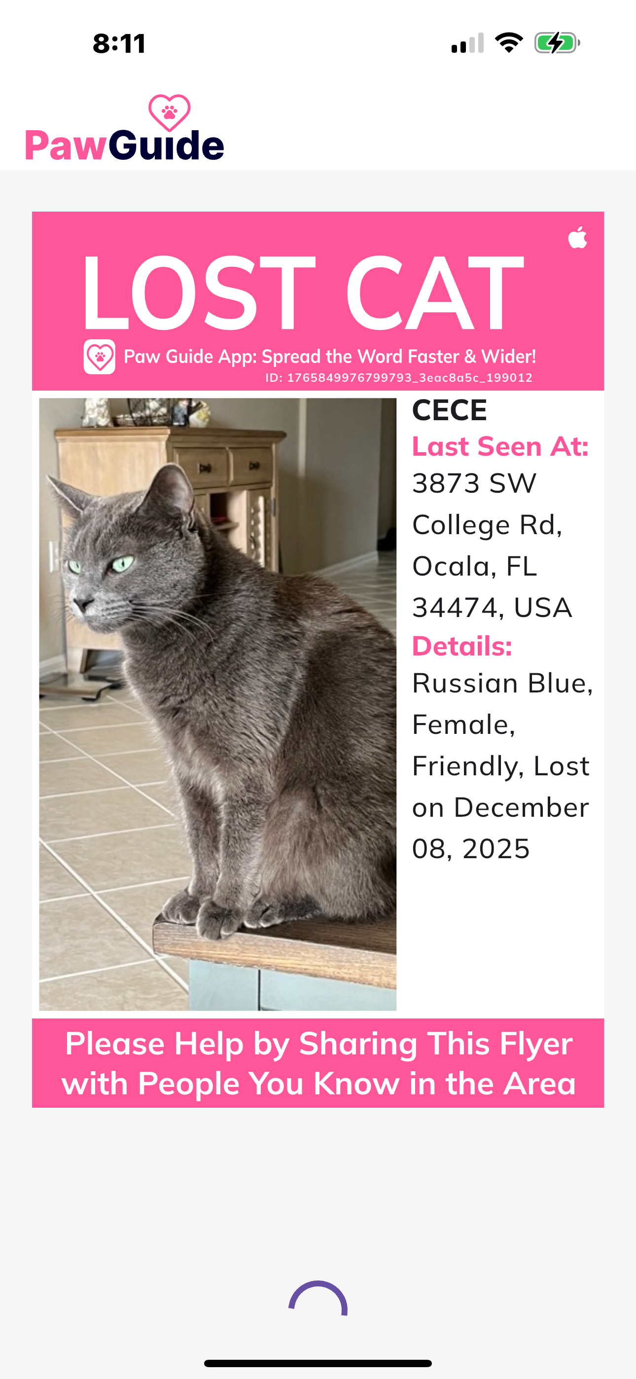 Lost Russian Blue Cat in Ocala Area