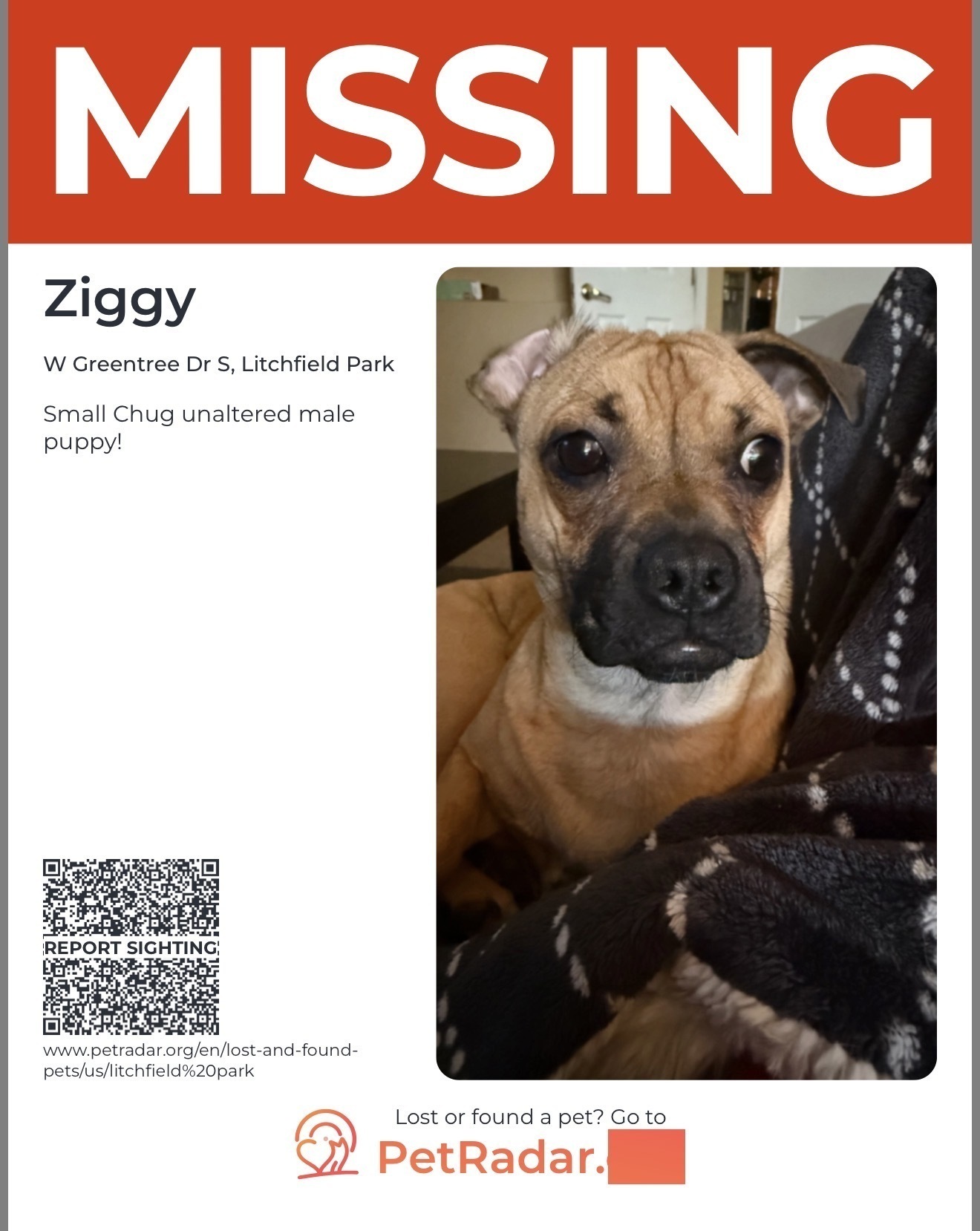 Lost Chug: Tan, Black Snoot, White Toe