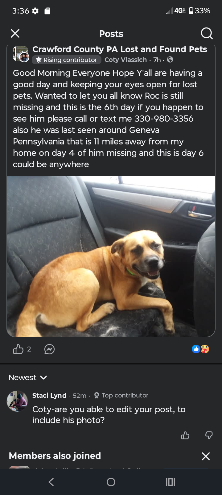 Lost Dog Near Main St, Conneaut Lake