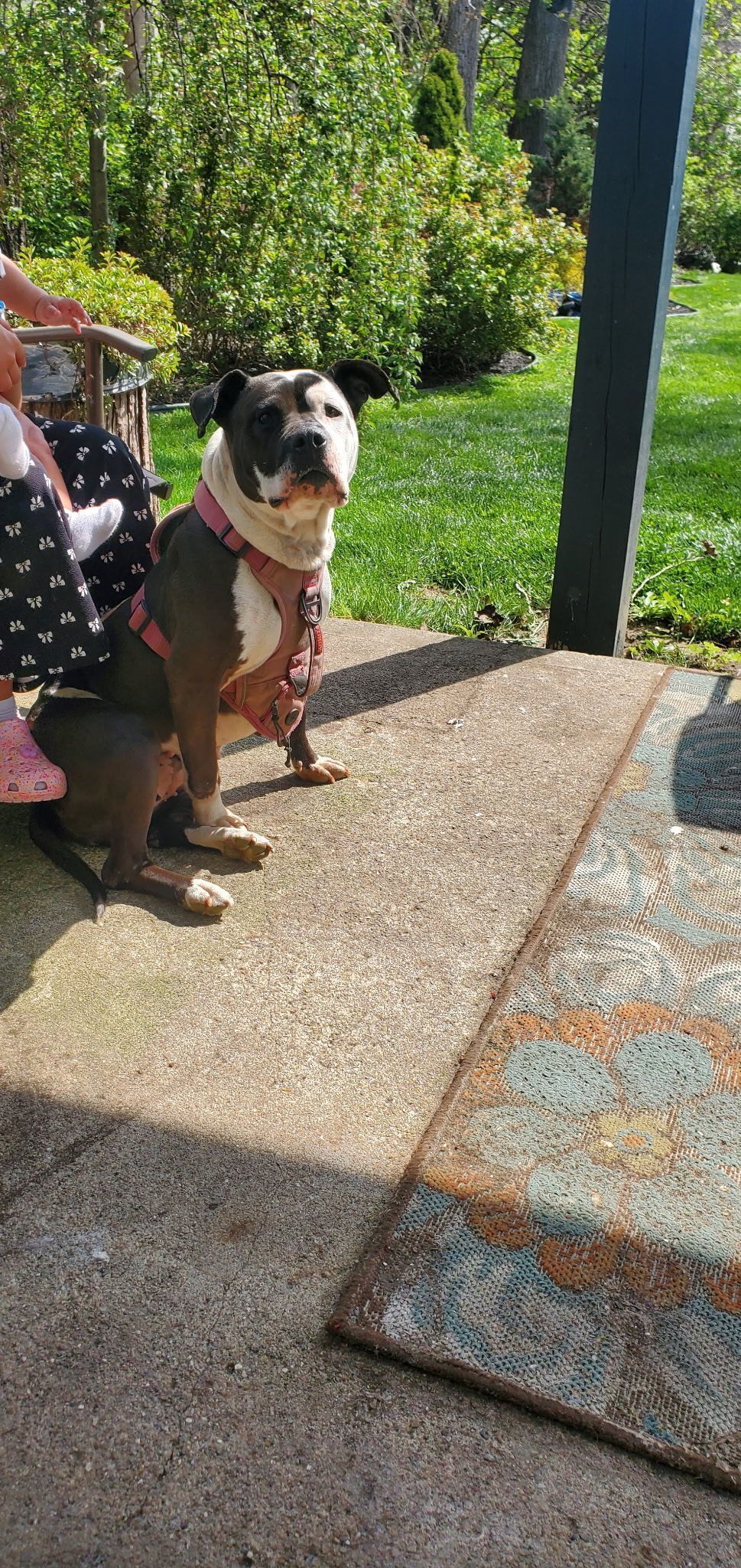 Lost Dog: Blanco y Negro, East 16th Ave