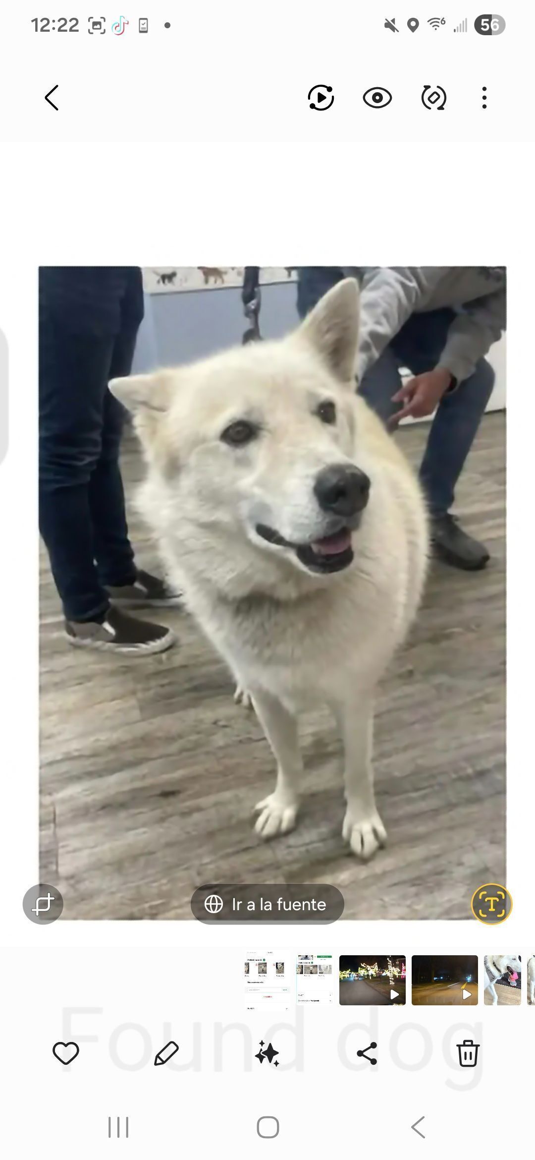 Help Find My Dog on Poplar Level Rd!