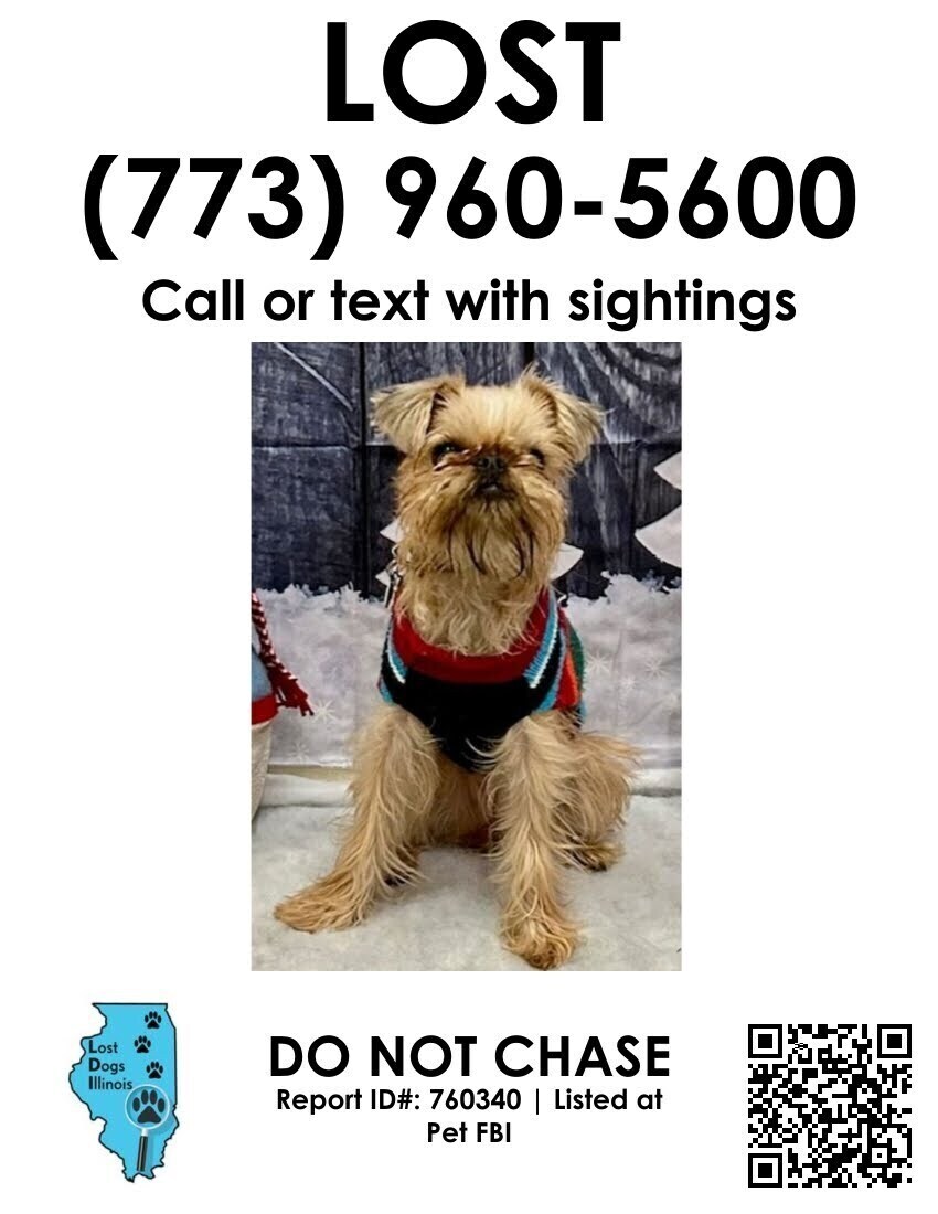 Lost Dog in Lincoln Park: $2,500 Reward!