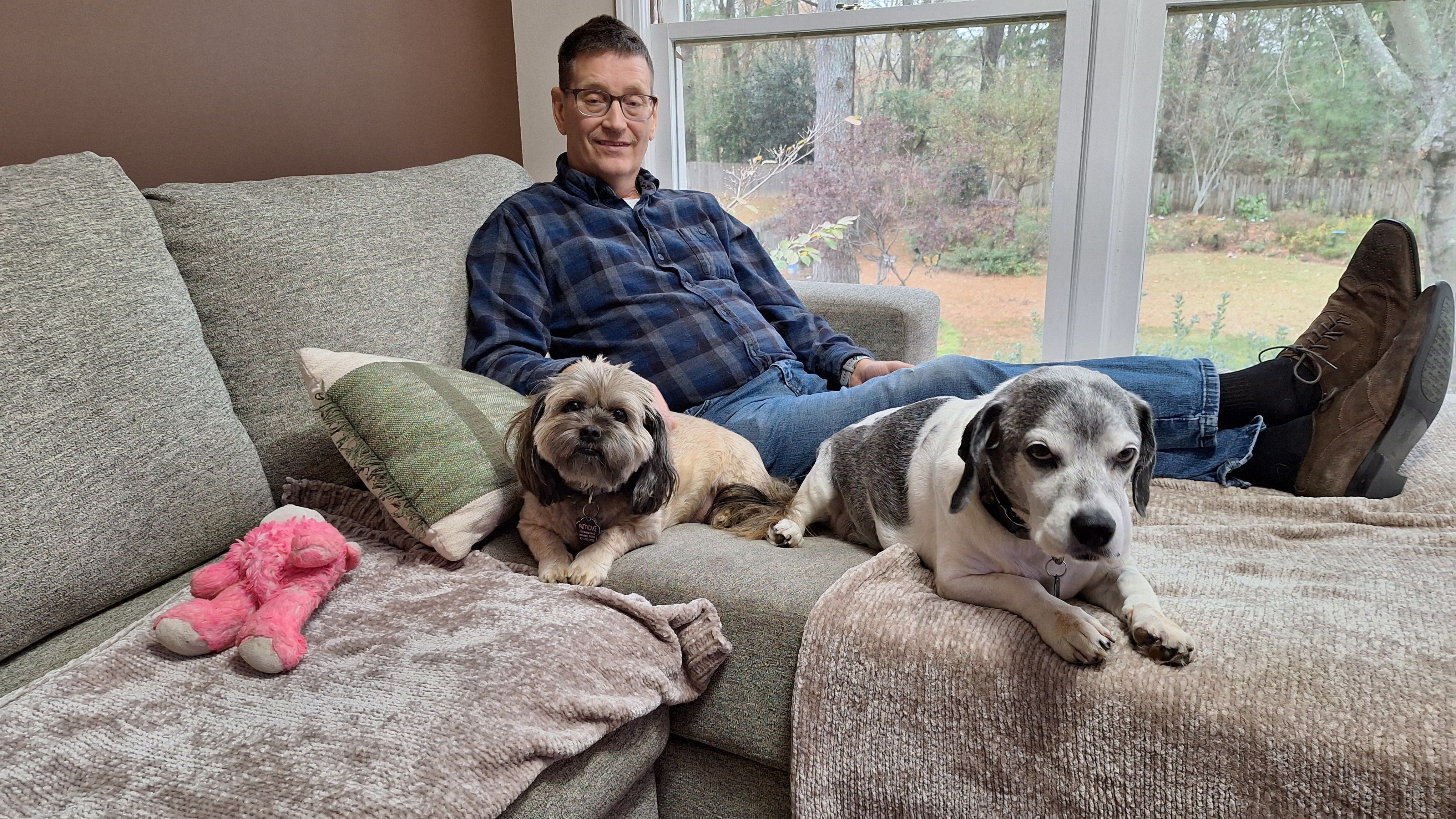 Lost Gray Shih Tzu on Division Ave