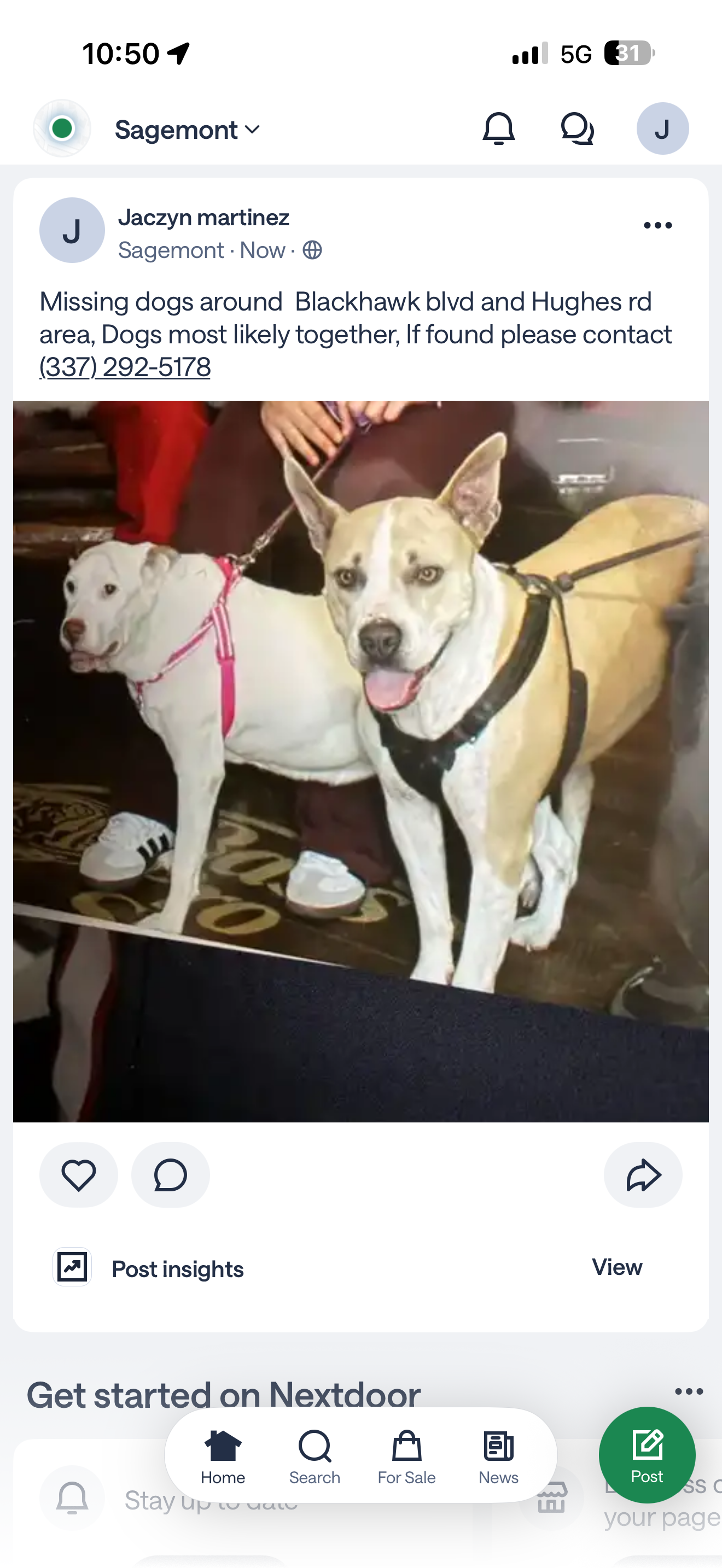 Lost Light Brown Dog on Sageking Dr, Houston