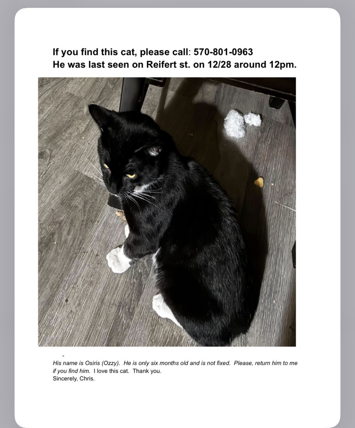 Lost Tuxedo Cat: Help Find Our Fast Friend!