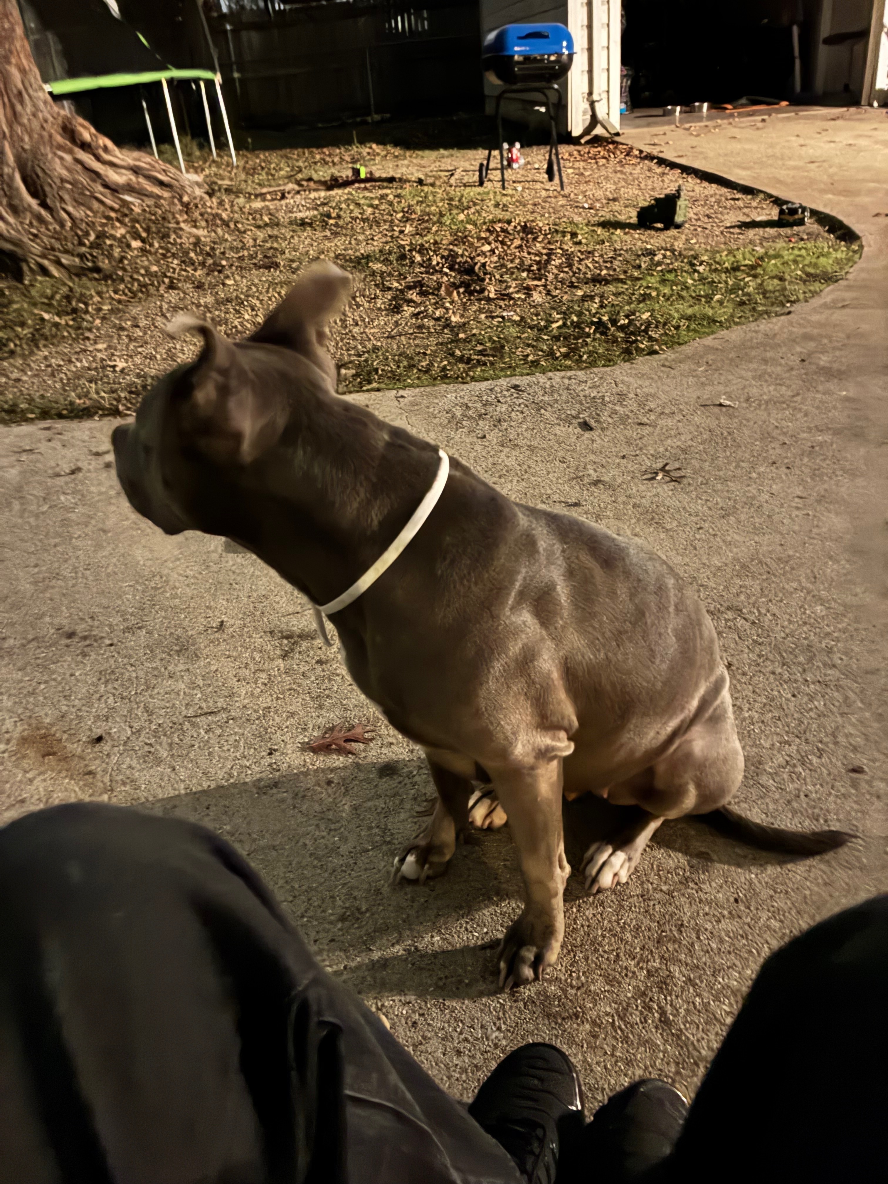 Lost Blue Pit on Lou Ave, Duncanville