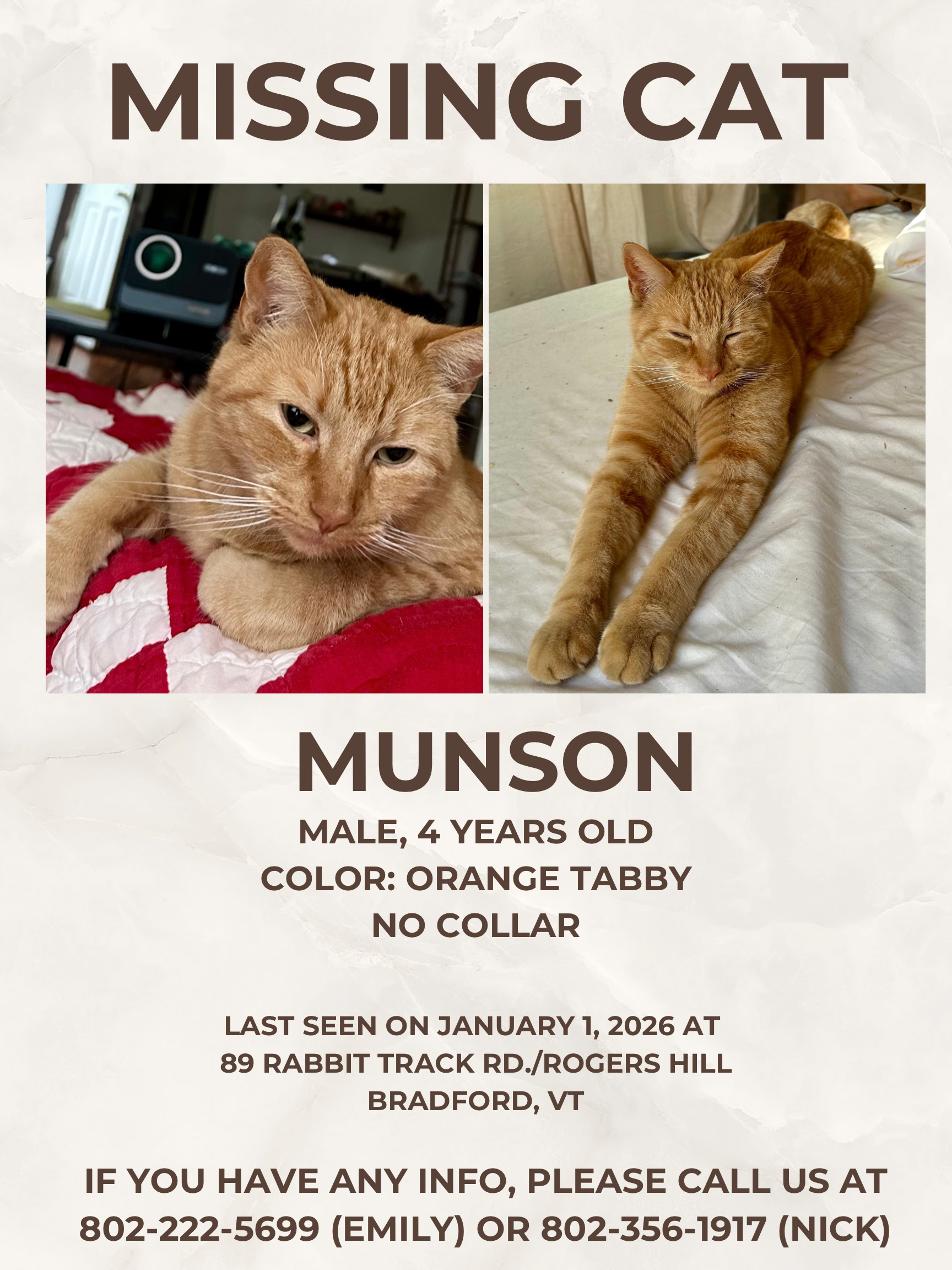 Lost Cat: Missing Since New Year's Eve