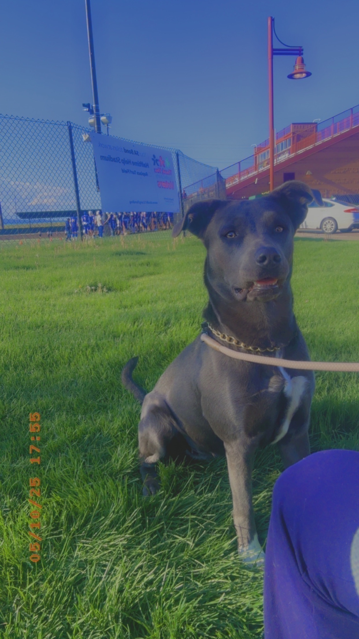 Lost Grey Pitski: Renia on Columbine St