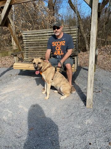 Lost Brindle Dog on East Oakland Ave