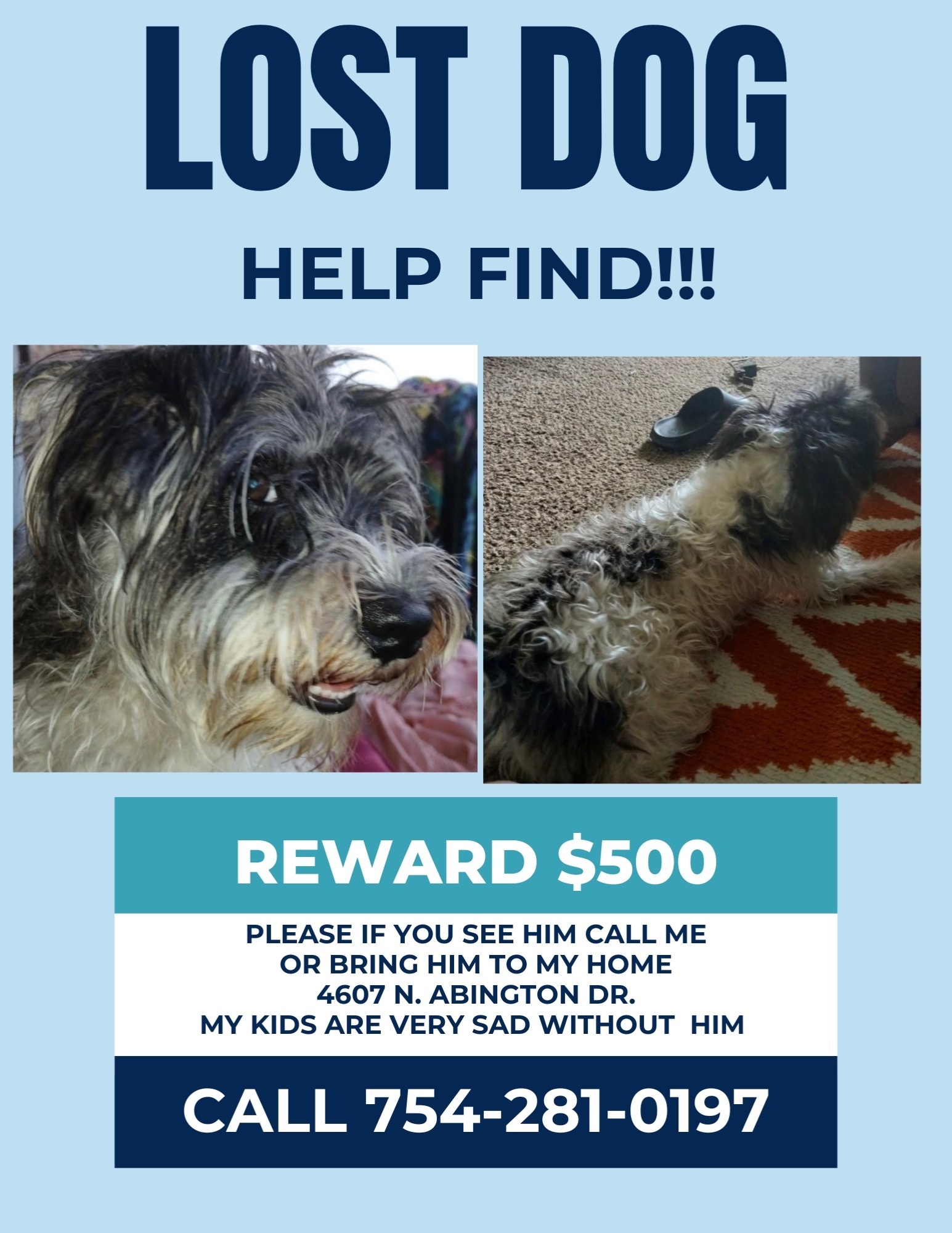 Lost Dog: Friendly White & Gray Pup - photo 2