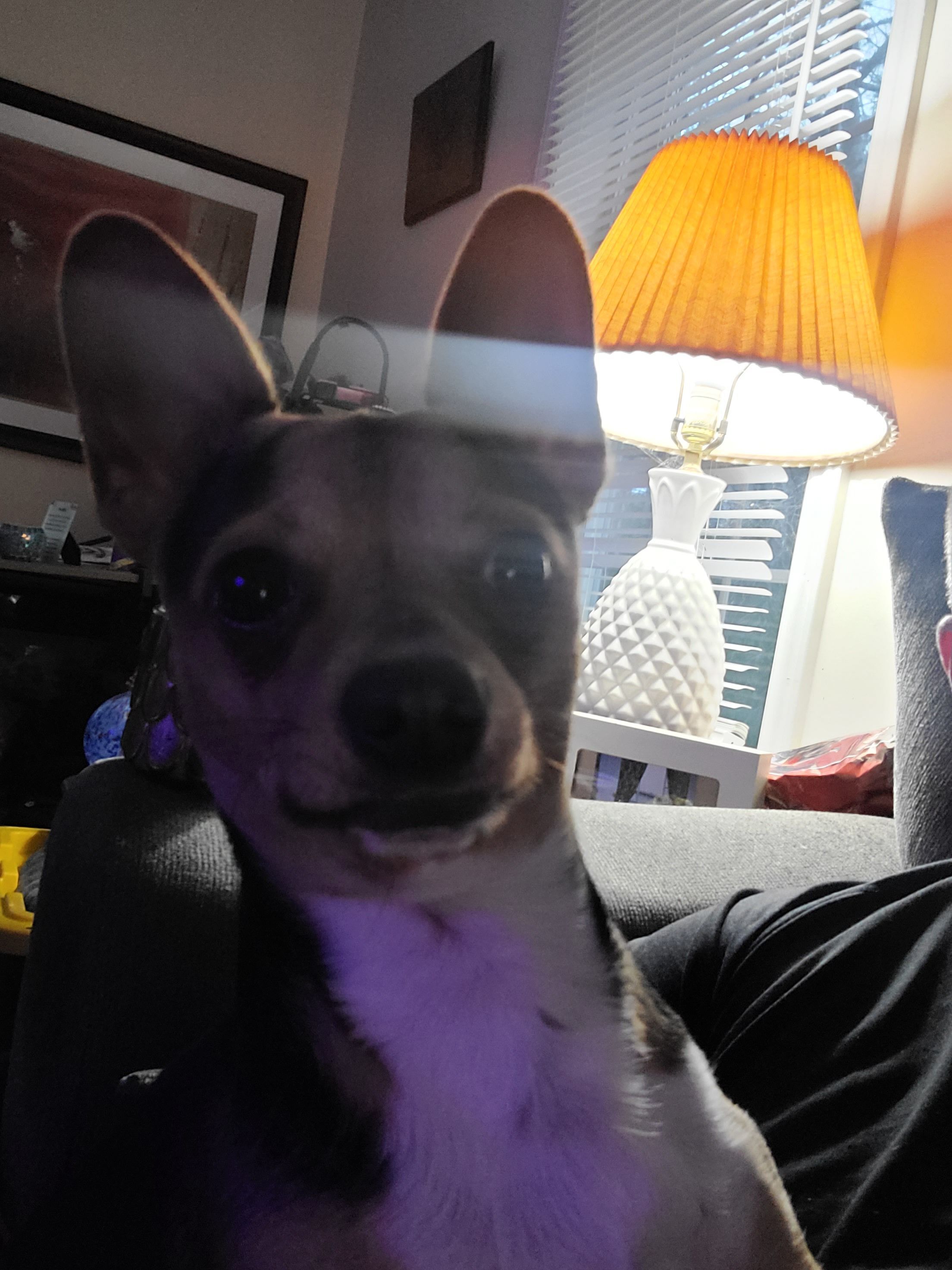 Lost Chiwinni: Big Ears, Locust Rd